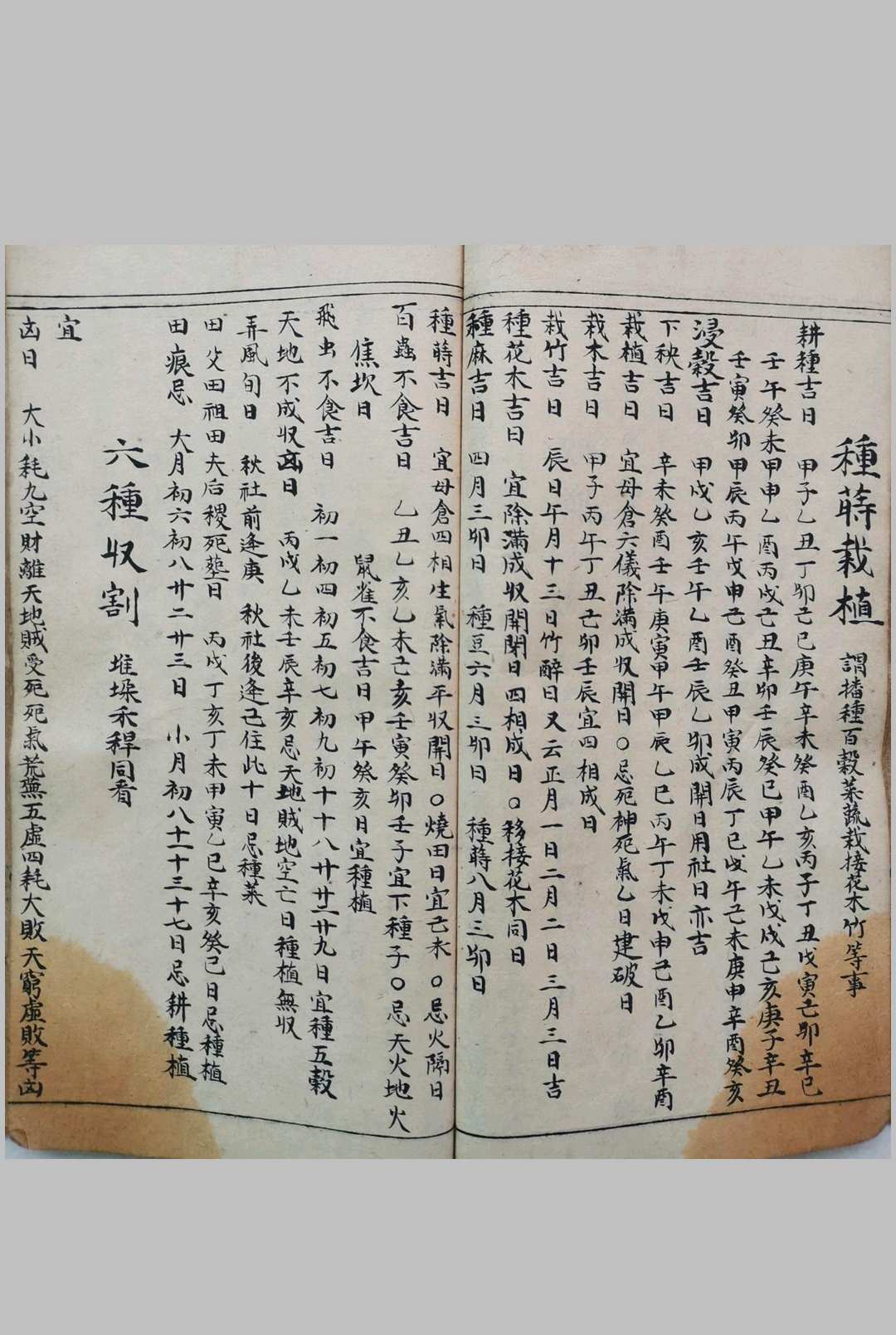 图片[14]-中华古籍网-专注古书收集考吉通书  善成堂木刻本 誊抄手抄本-中华古籍网-专注古书收集中华古籍网-专注古书收集
