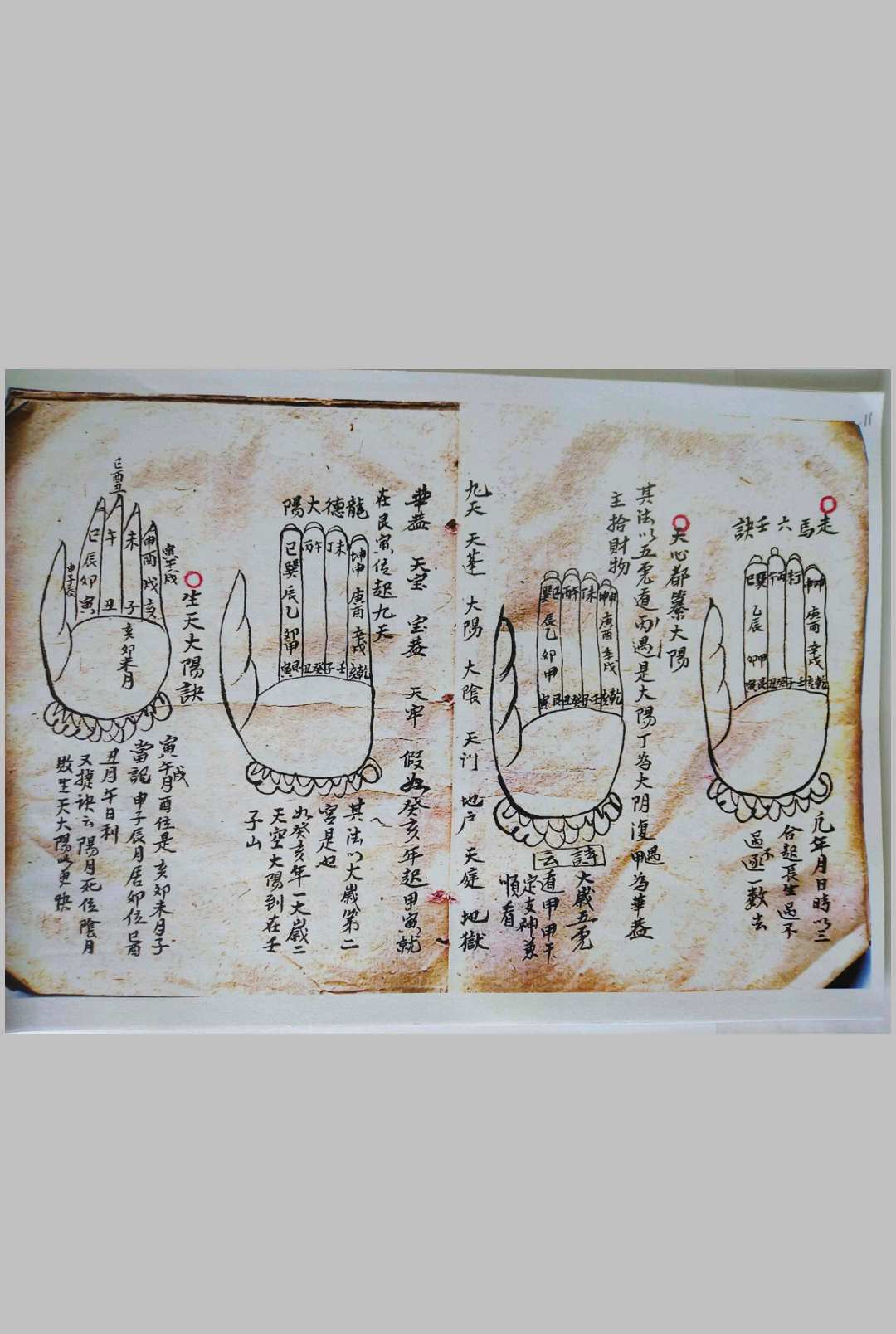 图片[8]-中华古籍网-专注古书收集金精鏊掌诀  66-中华古籍网-专注古书收集中华古籍网-专注古书收集