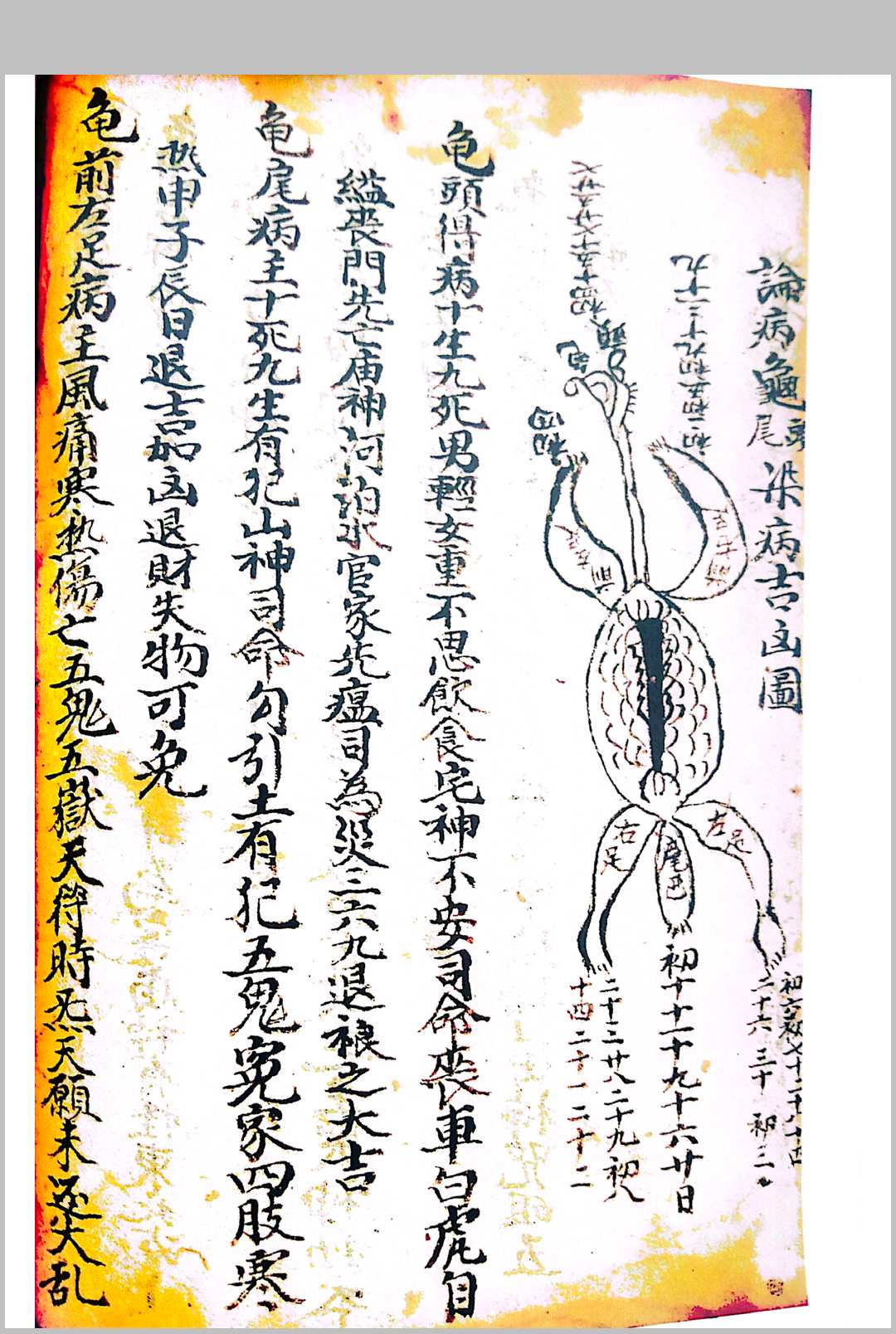 图片[9]-中华古籍网-专注古书收集论百事问病有灵有准-中华古籍网-专注古书收集中华古籍网-专注古书收集
