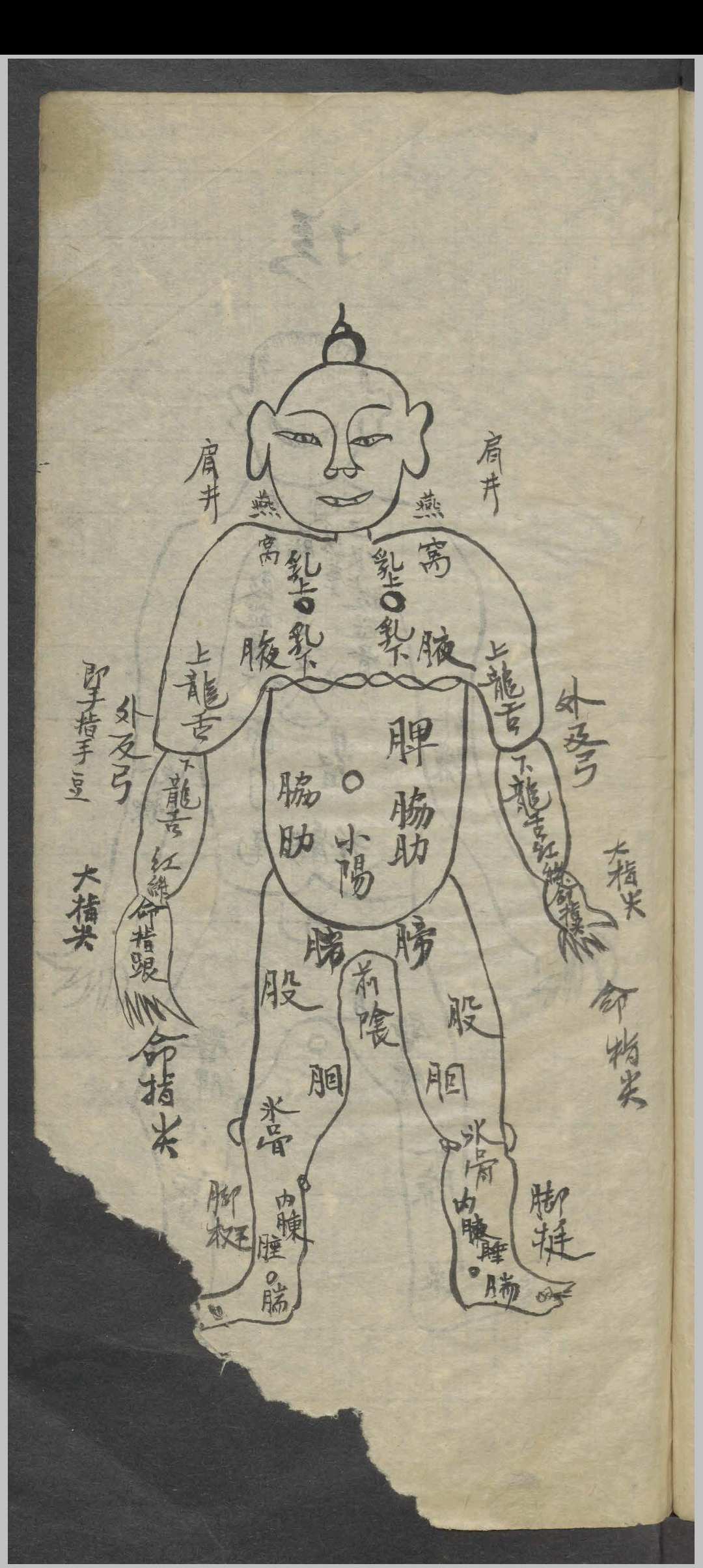 图片[3]-中华古籍网-专注古书收集外科药方集-中华古籍网-专注古书收集中华古籍网-专注古书收集