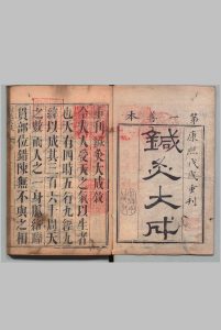 针灸大成 10卷 杨继洲 李月桂 ,清康熙57年中华古籍网-专注古书收集中华古籍网