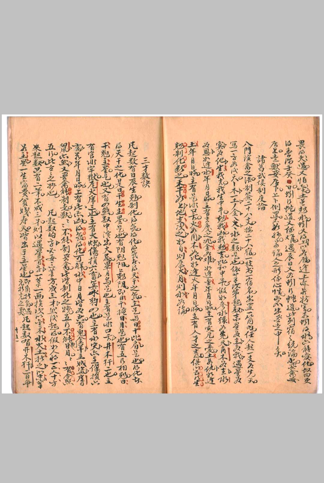图片[9]-中华古籍网-专注古书收集三才演禽数-中华古籍网-专注古书收集中华古籍网-专注古书收集