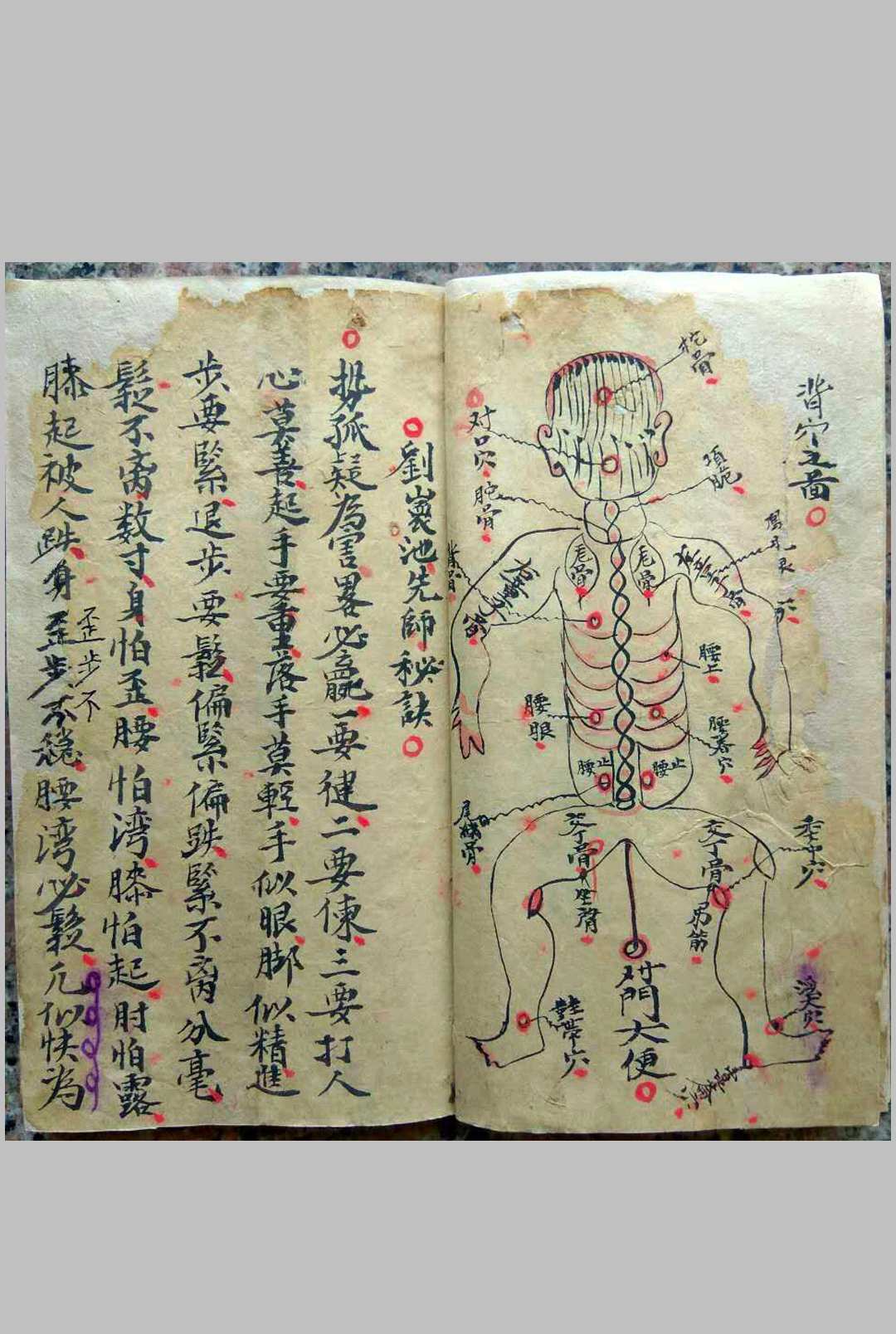 图片[5]-中华古籍网-专注古书收集沾衣十八跌-中华古籍网-专注古书收集中华古籍网-专注古书收集