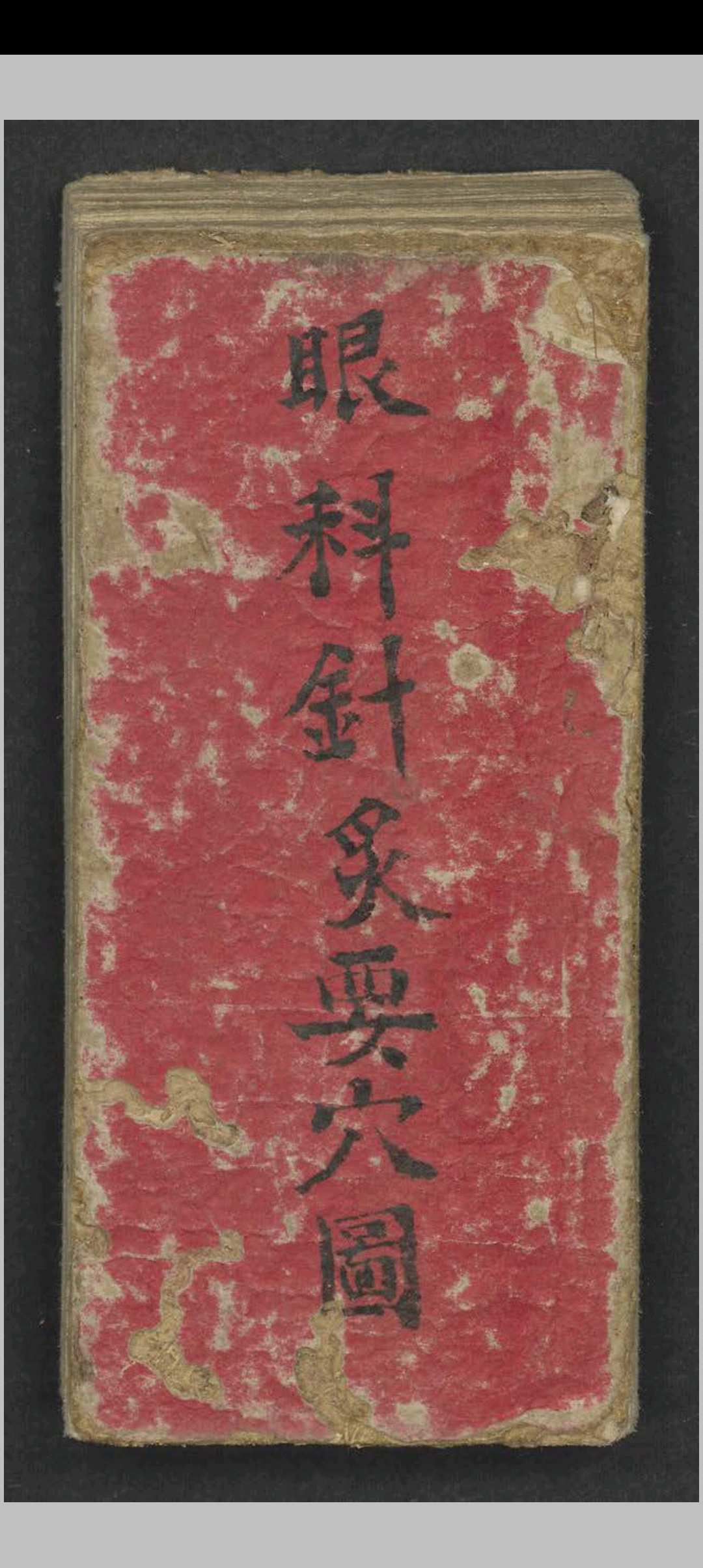 眼科针灸要穴图   1900-中华古籍网-专注古书收集中华古籍网-专注古书收集