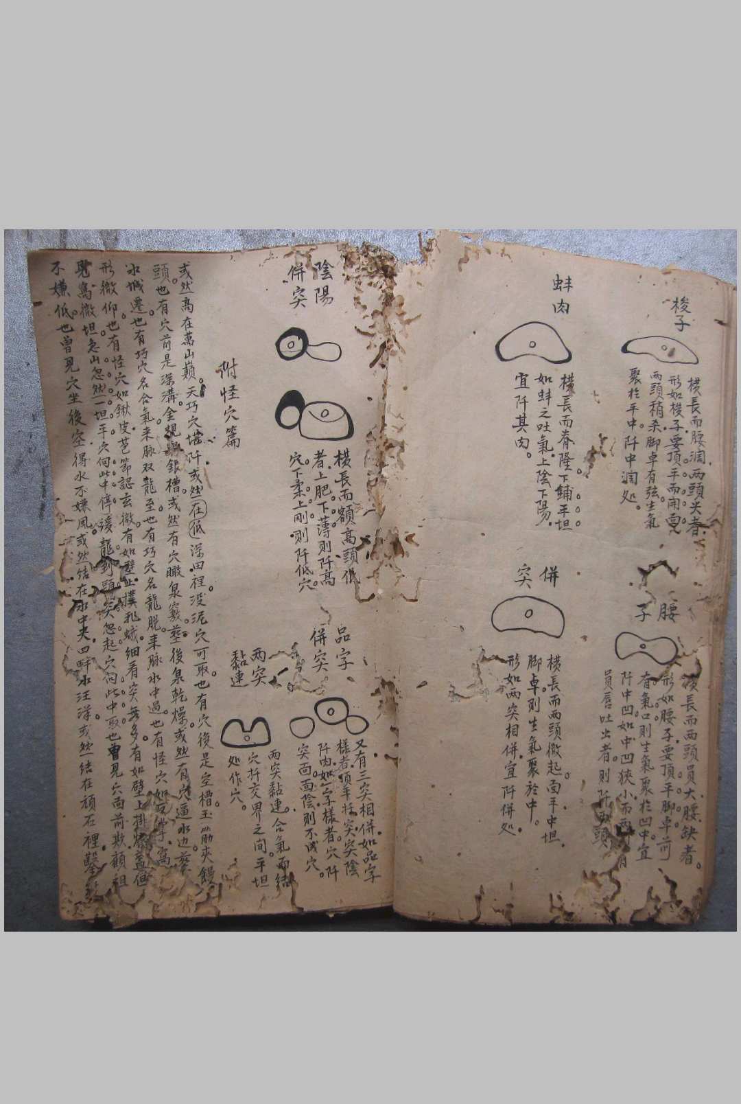 图片[3]-中华古籍网-专注古书收集寻龙点穴秘诀-中华古籍网-专注古书收集中华古籍网-专注古书收集