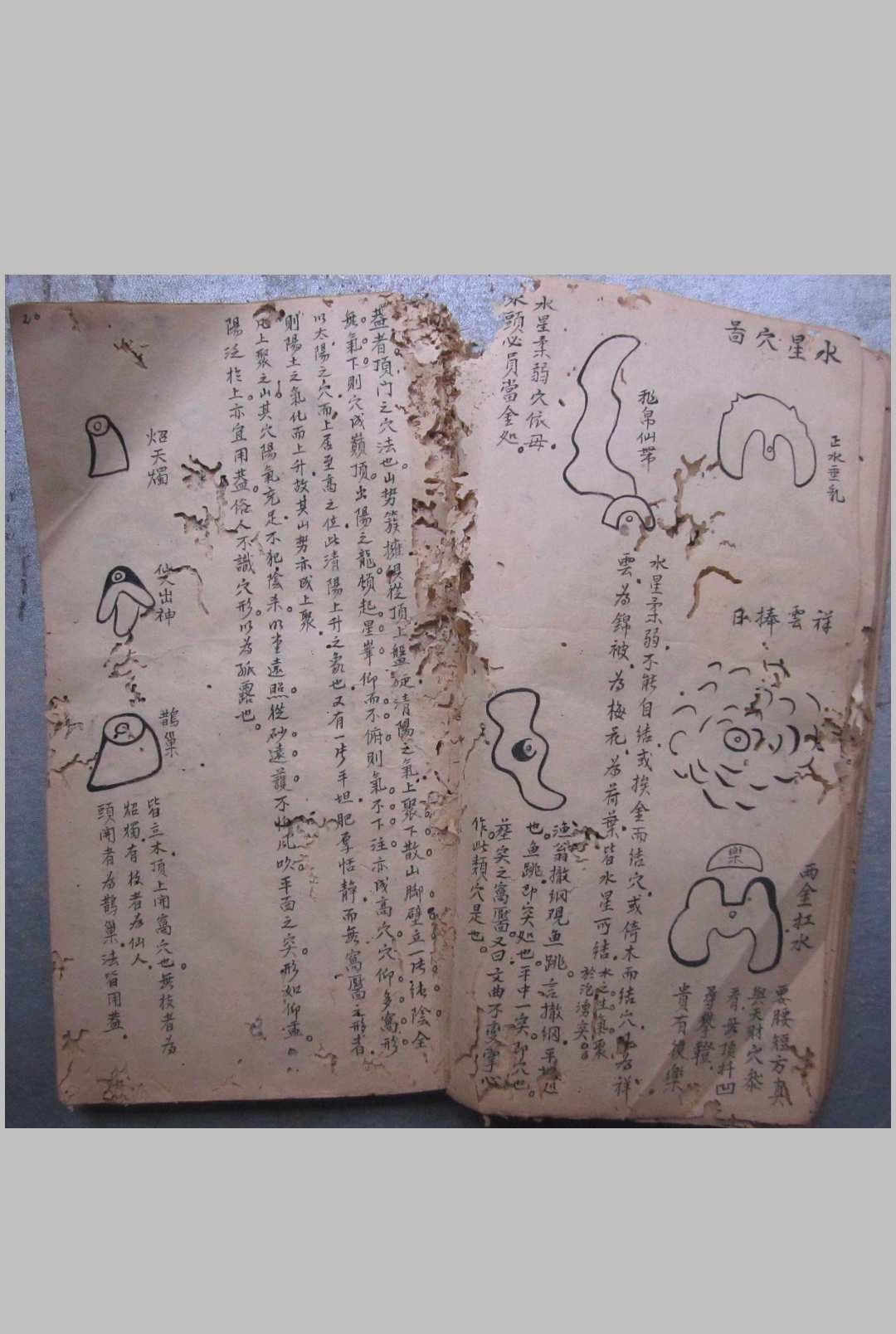 图片[15]-中华古籍网-专注古书收集寻龙点穴秘诀-中华古籍网-专注古书收集中华古籍网-专注古书收集