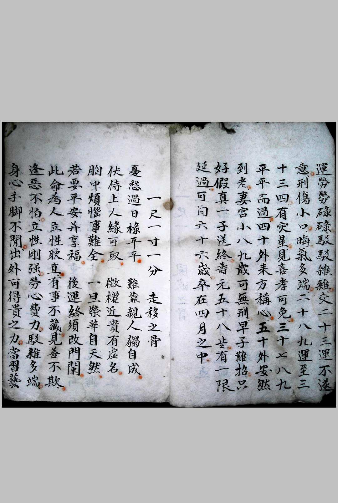 图片[6]-中华古籍网-专注古书收集摸骨称命诀-中华古籍网-专注古书收集中华古籍网-专注古书收集