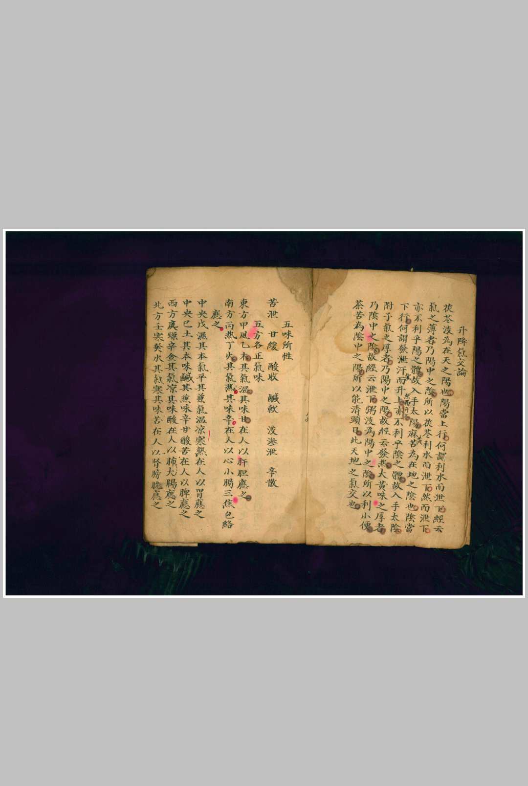 图片[5]-中华古籍网-专注古书收集气味阴阳论-中华古籍网-专注古书收集中华古籍网-专注古书收集