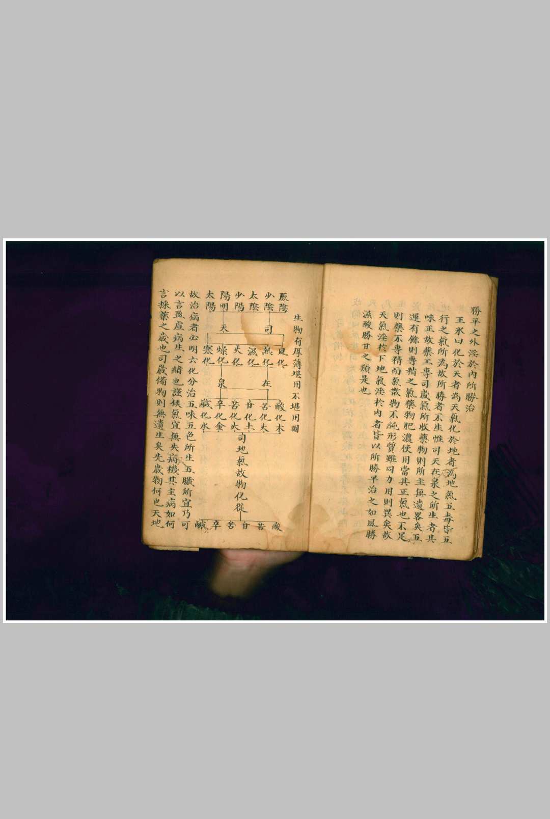 图片[3]-中华古籍网-专注古书收集气味阴阳论-中华古籍网-专注古书收集中华古籍网-专注古书收集
