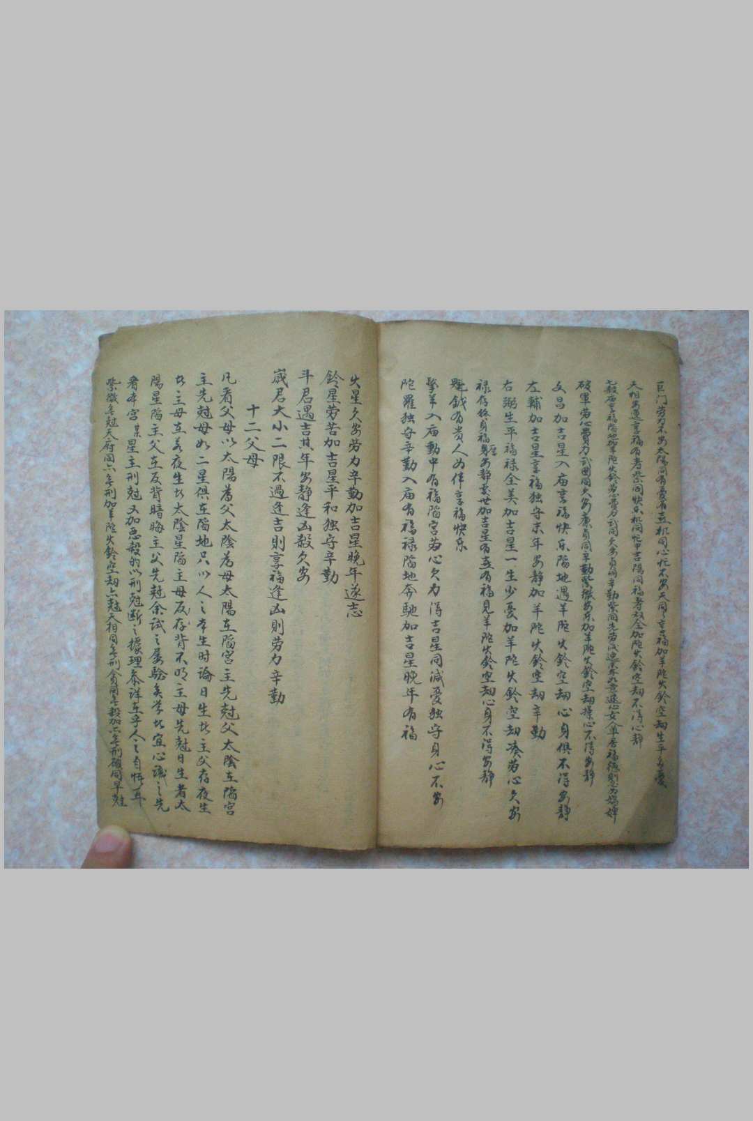 图片[11]-中华古籍网-专注古书收集紫微斗数-中华古籍网-专注古书收集中华古籍网-专注古书收集