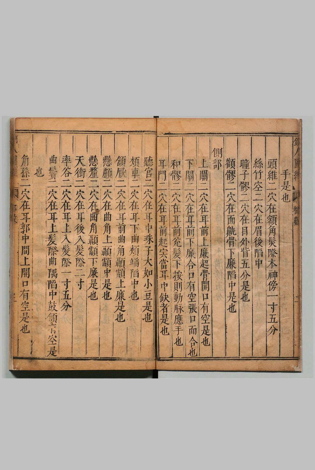图片[6]中华古籍网-专注古书收集铜人腧穴针灸图经 ３卷 穴腧都数 １卷 王惟一（宋） 明刊本中华古籍网-专注古书收集中华古籍网
