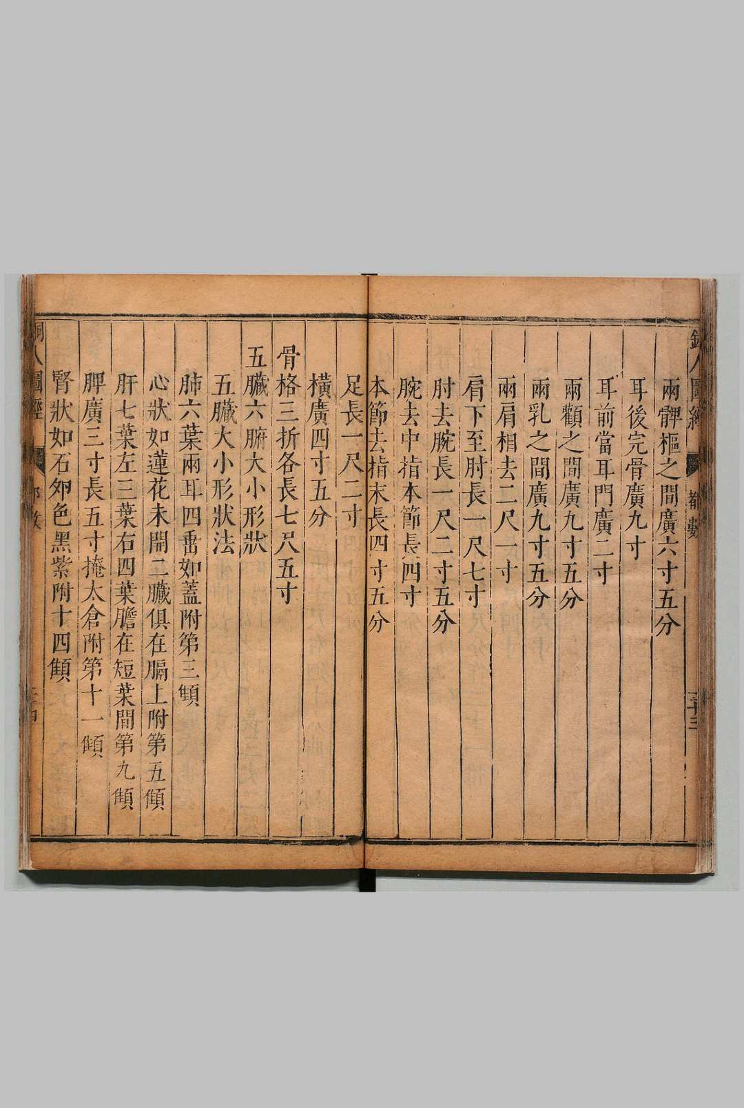 图片[7]中华古籍网-专注古书收集铜人腧穴针灸图经 ３卷 穴腧都数 １卷 王惟一（宋） 明刊本中华古籍网-专注古书收集中华古籍网