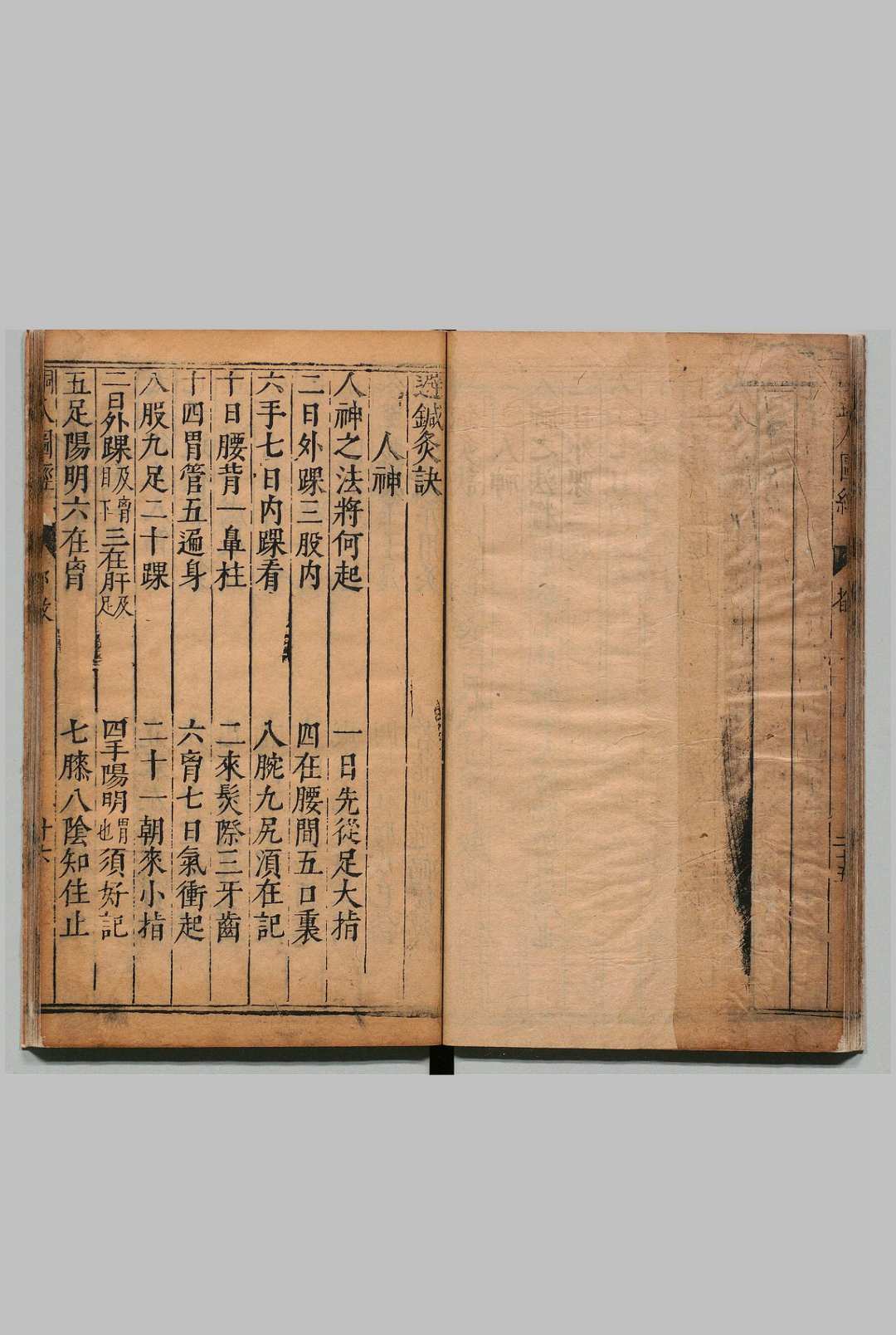 图片[5]中华古籍网-专注古书收集铜人腧穴针灸图经 ３卷 穴腧都数 １卷 王惟一（宋） 明刊本中华古籍网-专注古书收集中华古籍网