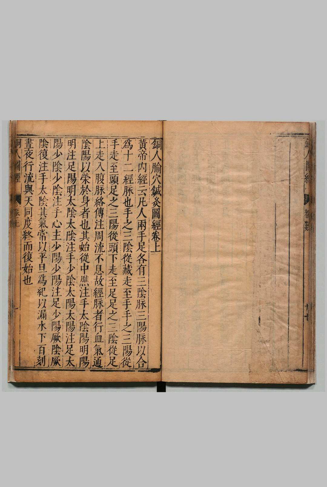 图片[8]中华古籍网-专注古书收集铜人腧穴针灸图经 ３卷 穴腧都数 １卷 王惟一（宋） 明刊本中华古籍网-专注古书收集中华古籍网