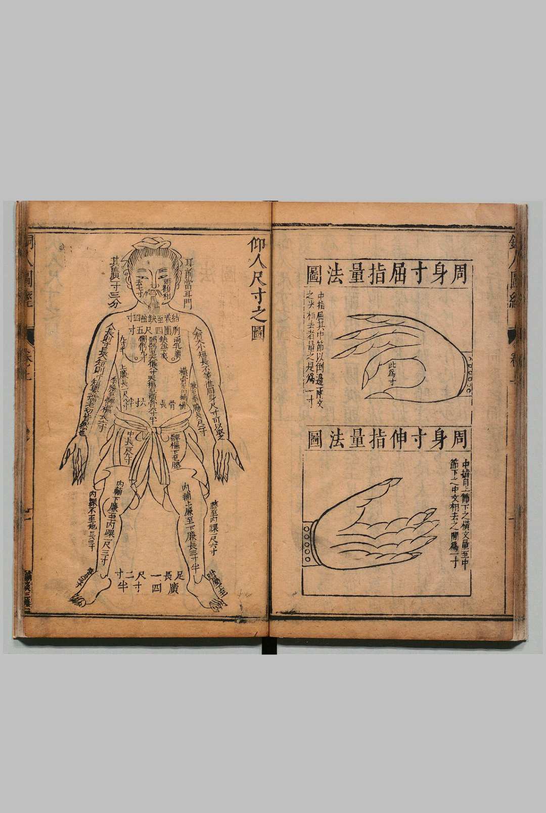 图片[3]中华古籍网-专注古书收集铜人腧穴针灸图经 ３卷 穴腧都数 １卷 王惟一（宋） 明刊本中华古籍网-专注古书收集中华古籍网