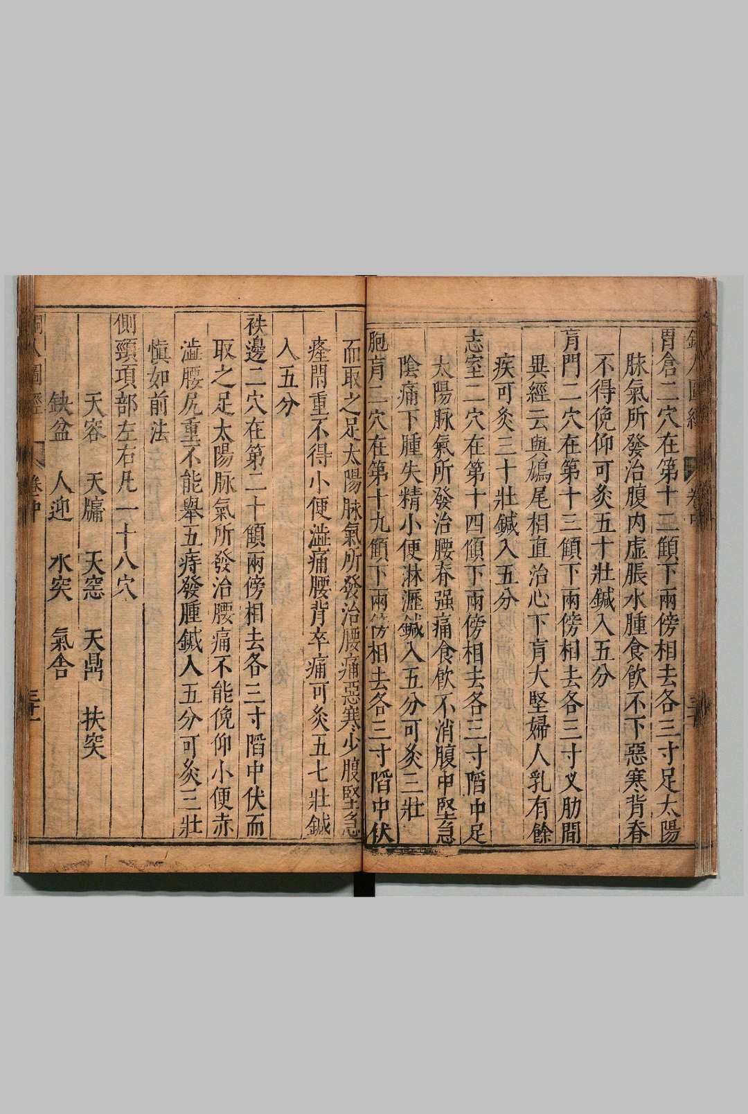 图片[11]中华古籍网-专注古书收集铜人腧穴针灸图经 ３卷 穴腧都数 １卷 王惟一（宋） 明刊本中华古籍网-专注古书收集中华古籍网
