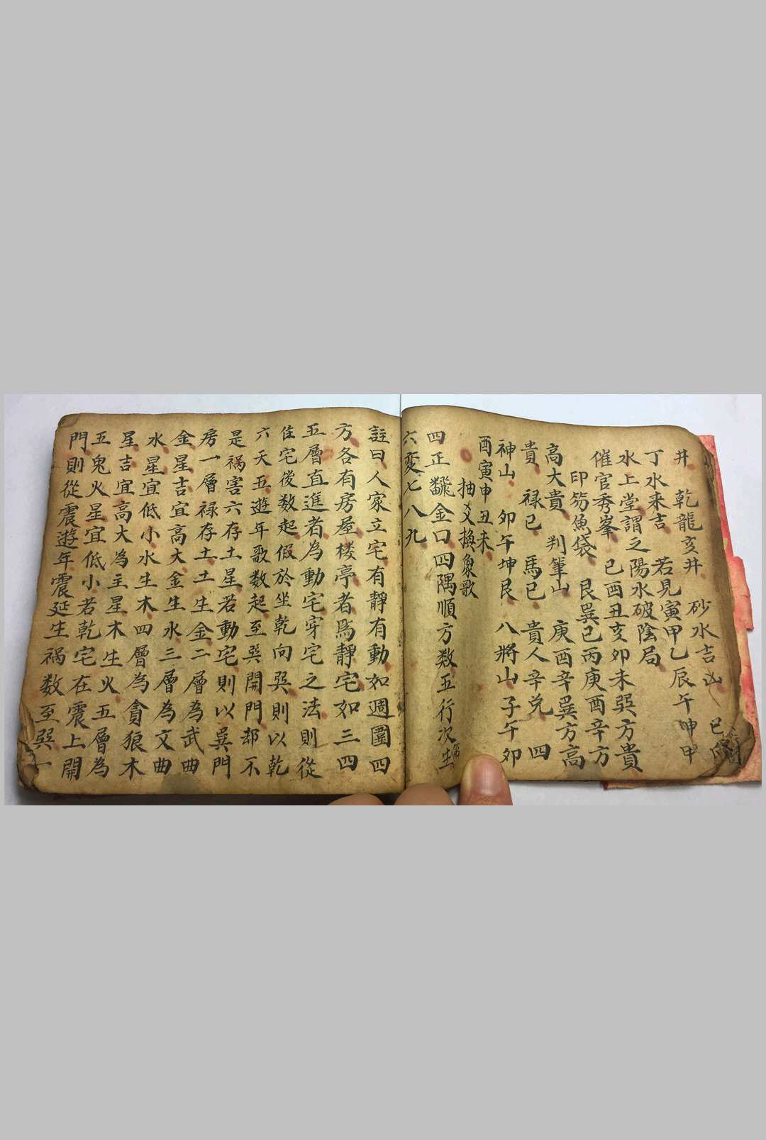 图片[8]-中华古籍网-专注古书收集九星吉凶-中华古籍网-专注古书收集中华古籍网-专注古书收集