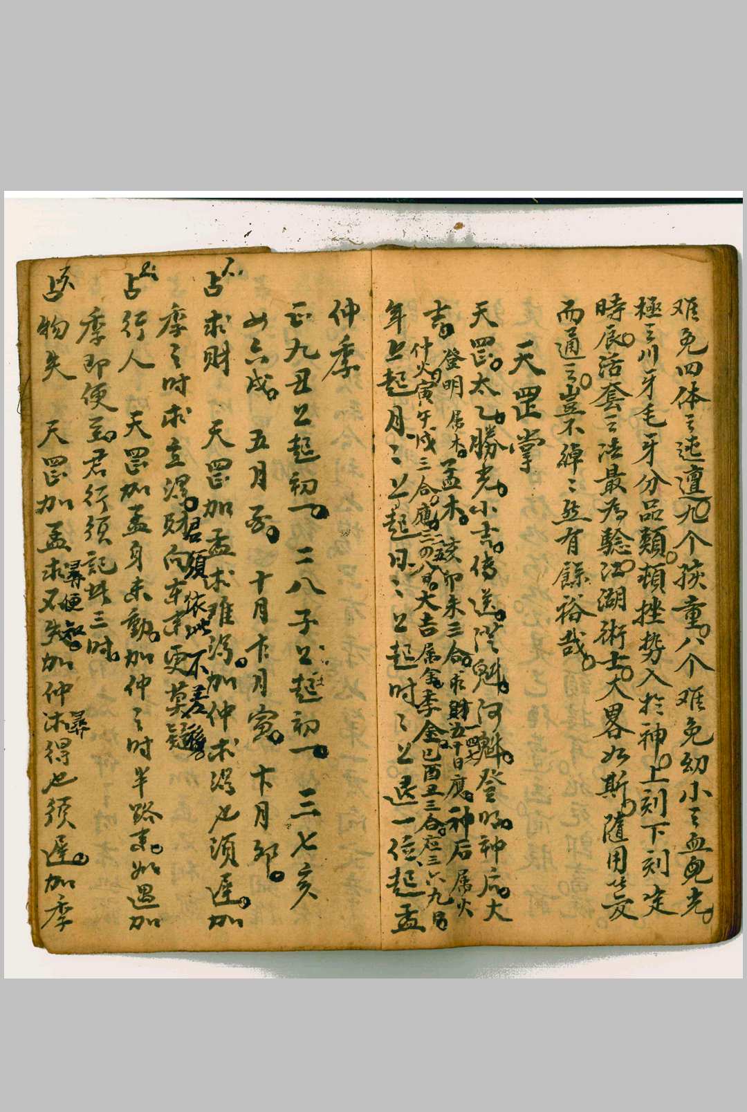 图片[18]-中华古籍网-专注古书收集看命助语 游和照 抄本-中华古籍网-专注古书收集中华古籍网-专注古书收集