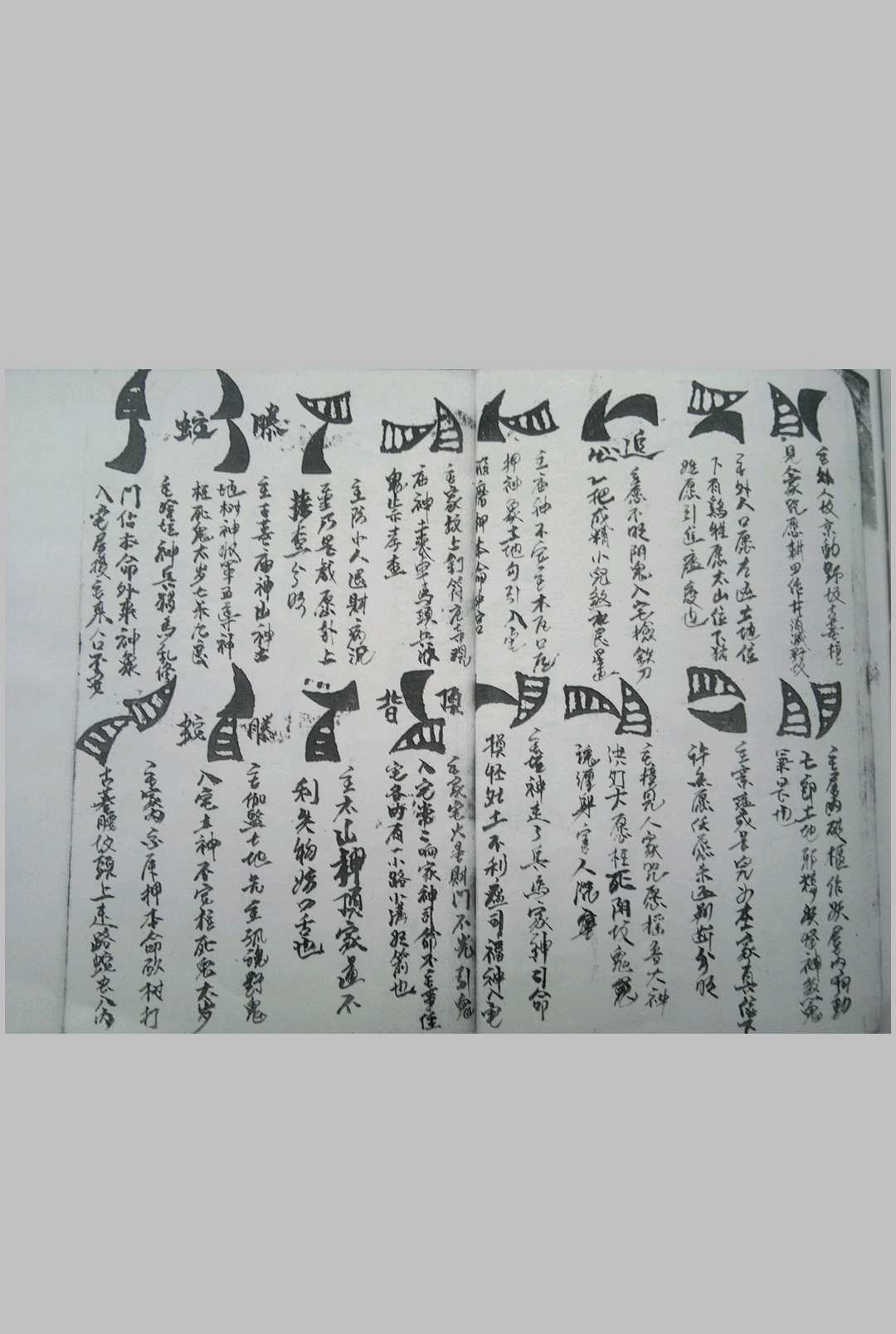 图片[10]-中华古籍网-专注古书收集端公牛角卦书-中华古籍网-专注古书收集中华古籍网-专注古书收集