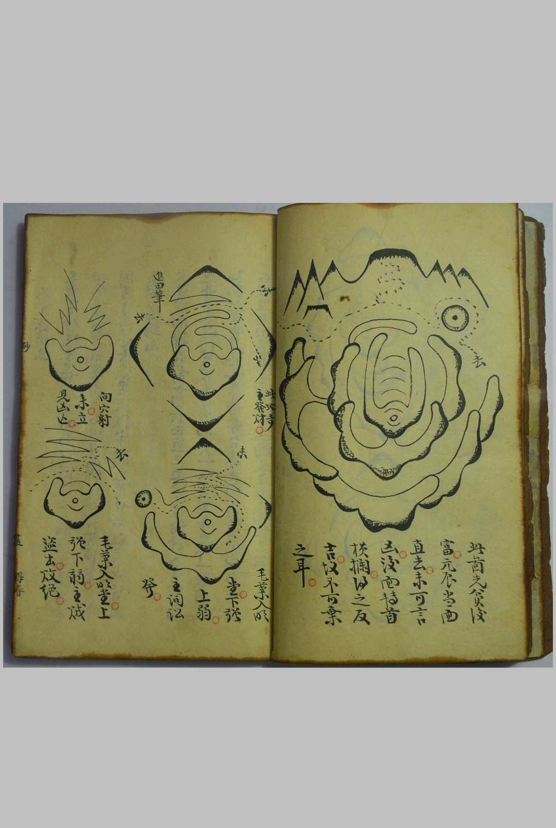 图片[15]-中华古籍网-专注古书收集地理峦头论-中华古籍网-专注古书收集中华古籍网-专注古书收集