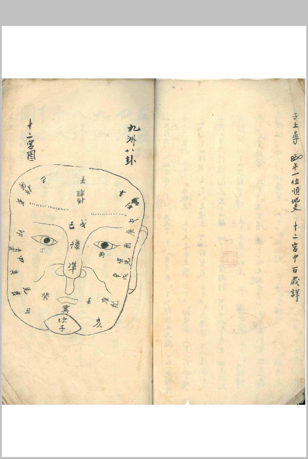 图片[2]-中华古籍网-专注古书收集相书真传（手抄本）-中华古籍网-专注古书收集中华古籍网-专注古书收集