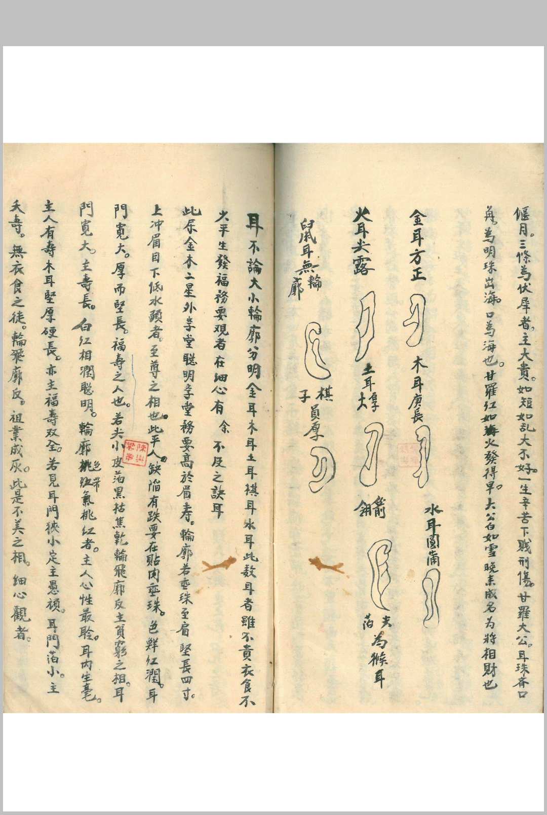 图片[12]-中华古籍网-专注古书收集相书真传（手抄本）-中华古籍网-专注古书收集中华古籍网-专注古书收集