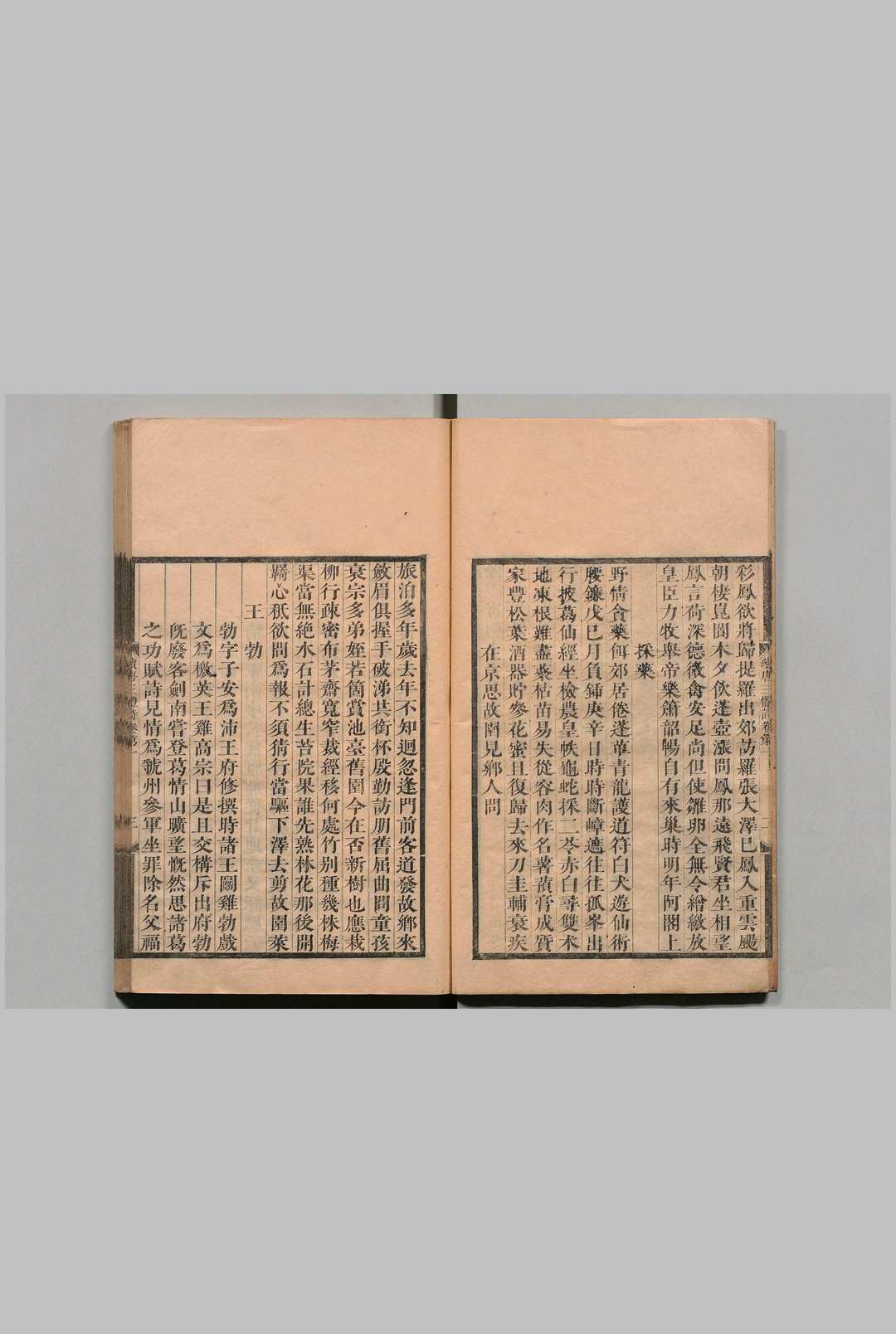 图片[5]中华古籍网-专注古书收集续唐三体诗 ８卷 高士奇 清康熙32年中华古籍网-专注古书收集中华古籍网