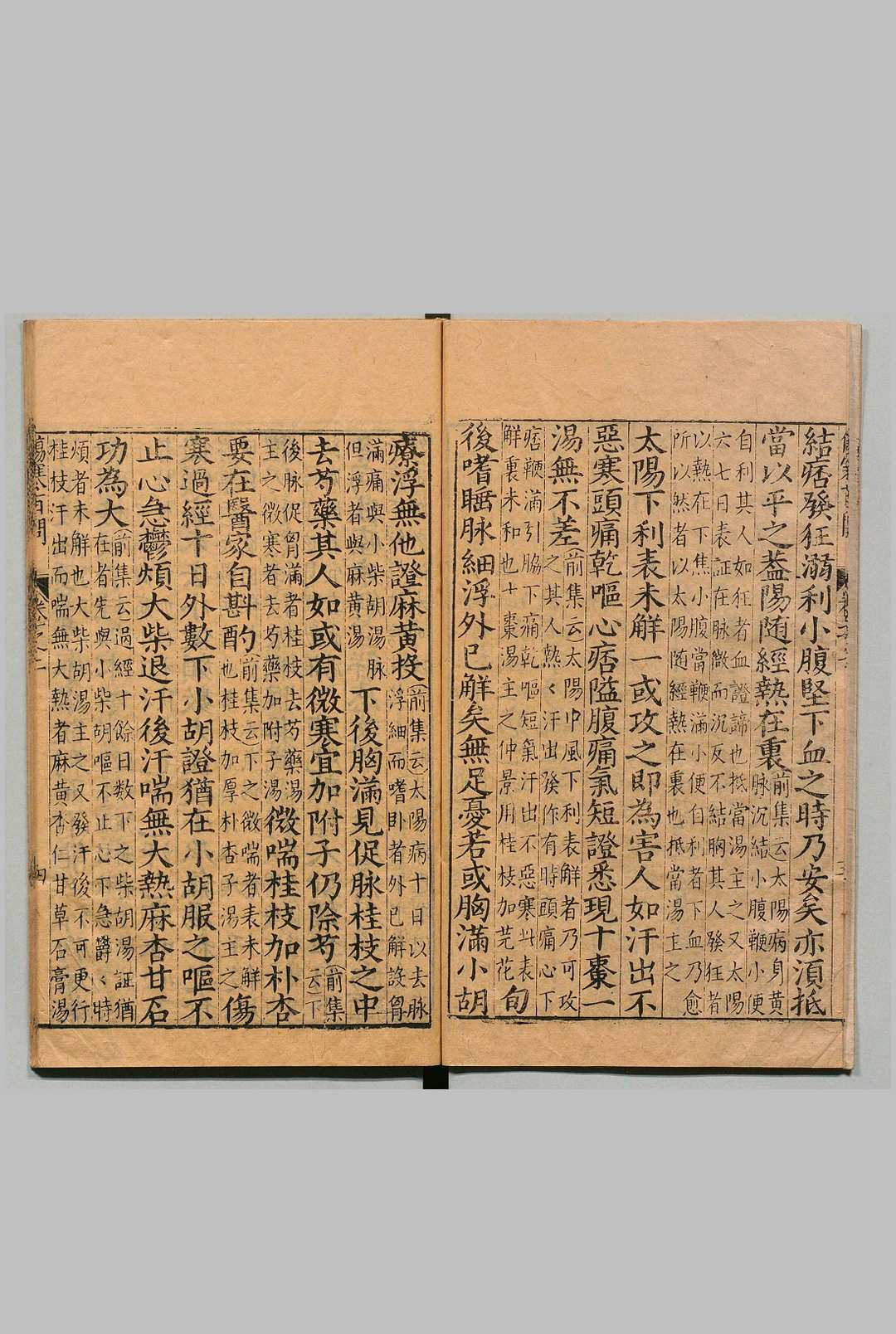 图片[4]中华古籍网-专注古书收集新镌类证增注伤寒百问歌 ４卷 钱闻礼（宋）雷顺春（明）明万历40年 , 刘氏乔山堂中华古籍网-专注古书收集中华古籍网