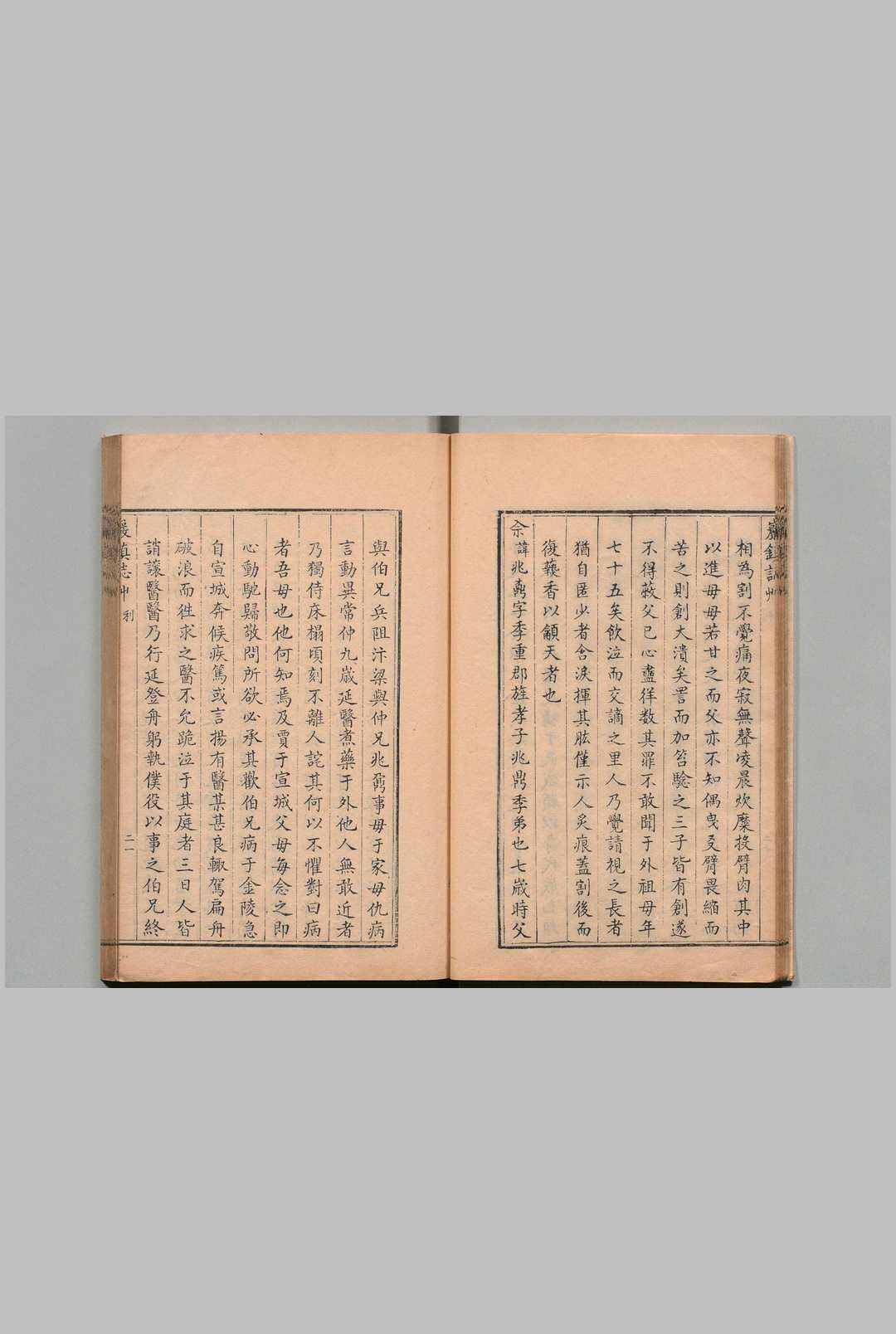 图片[6]中华古籍网-专注古书收集岩镇志草 ４卷 余华瑞（清）清乾隆3年 , 留耕堂中华古籍网-专注古书收集中华古籍网