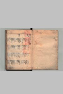 医林摘要活法 ２卷 写本 ,江户中华古籍网-专注古书收集中华古籍网