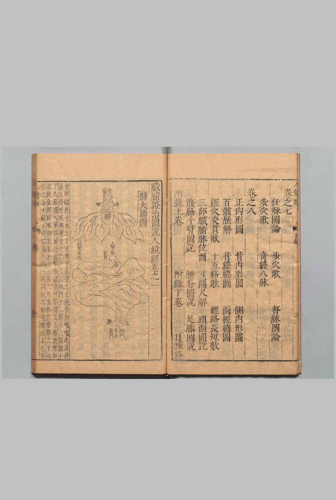 图片[5]中华古籍网-专注古书收集臓腑証证图说人镜经 ８卷 附２卷 钱雷 钱选 钱世忠,明万历40年中华古籍网-专注古书收集中华古籍网