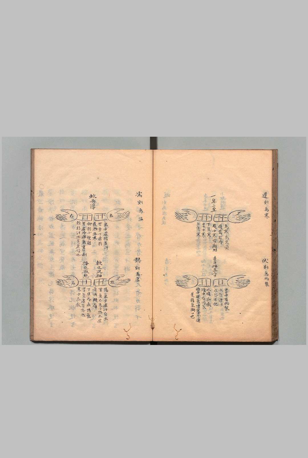 图片[5]中华古籍网-专注古书收集紫虚崔真人脉诀秘旨 １卷 附５卷 崔嘉彦（宋）写本 ,宽政3年中华古籍网-专注古书收集中华古籍网
