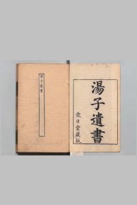 汤子遗书 10卷 附１卷 挽诗１卷 潜菴先生年谱１卷  汤斌（清）王廷灿（清） ,清康熙42年中华古籍网-专注古书收集中华古籍网