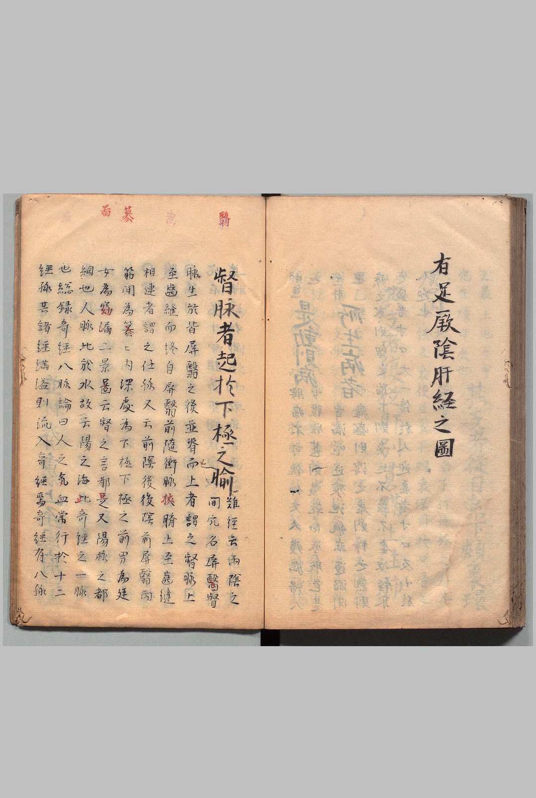 图片[6]中华古籍网-专注古书收集针灸集书 ２卷 杨珣（明）写本 ,江户中华古籍网-专注古书收集中华古籍网