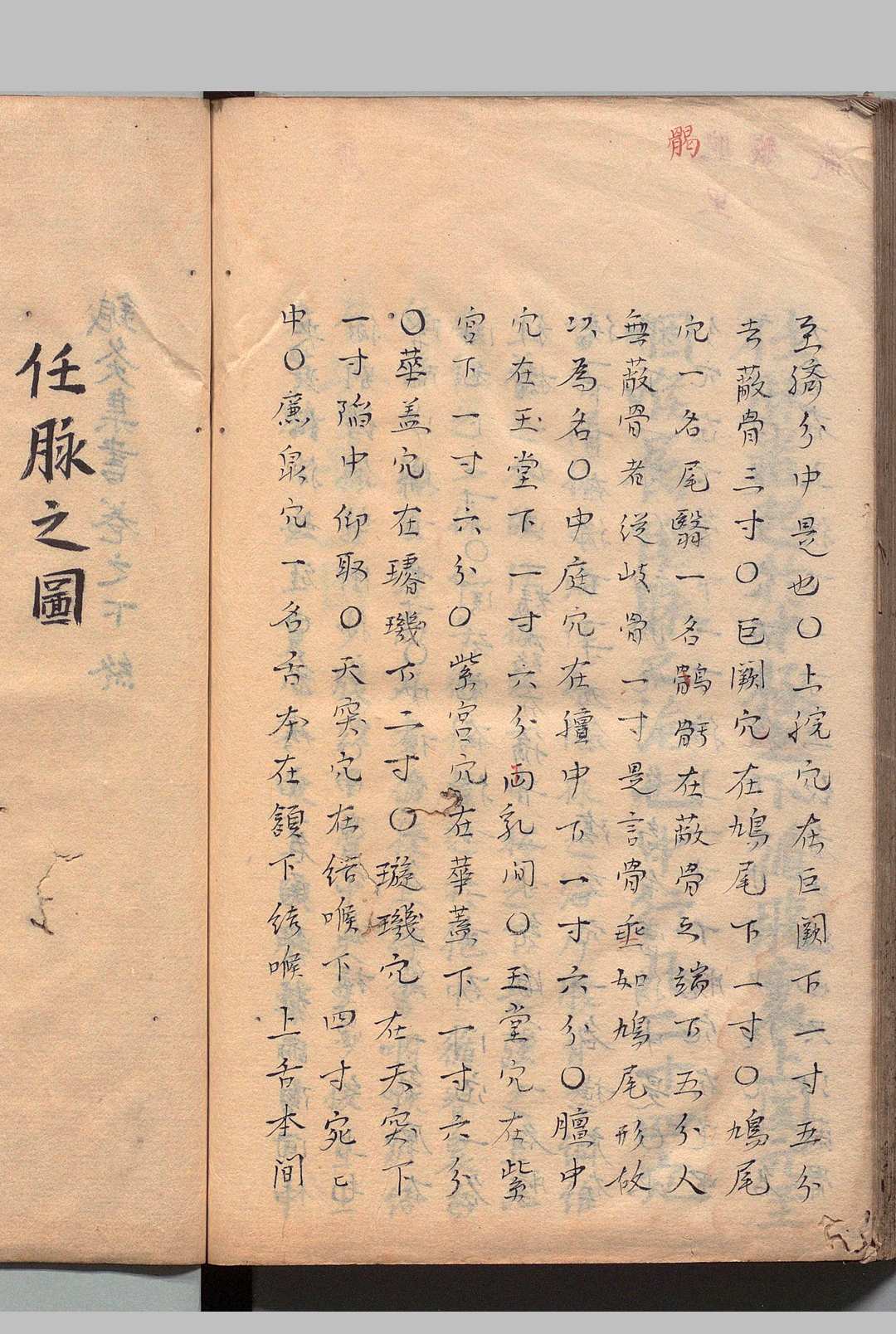 图片[10]中华古籍网-专注古书收集针灸集书 ２卷 杨珣（明）写本 ,江户中华古籍网-专注古书收集中华古籍网