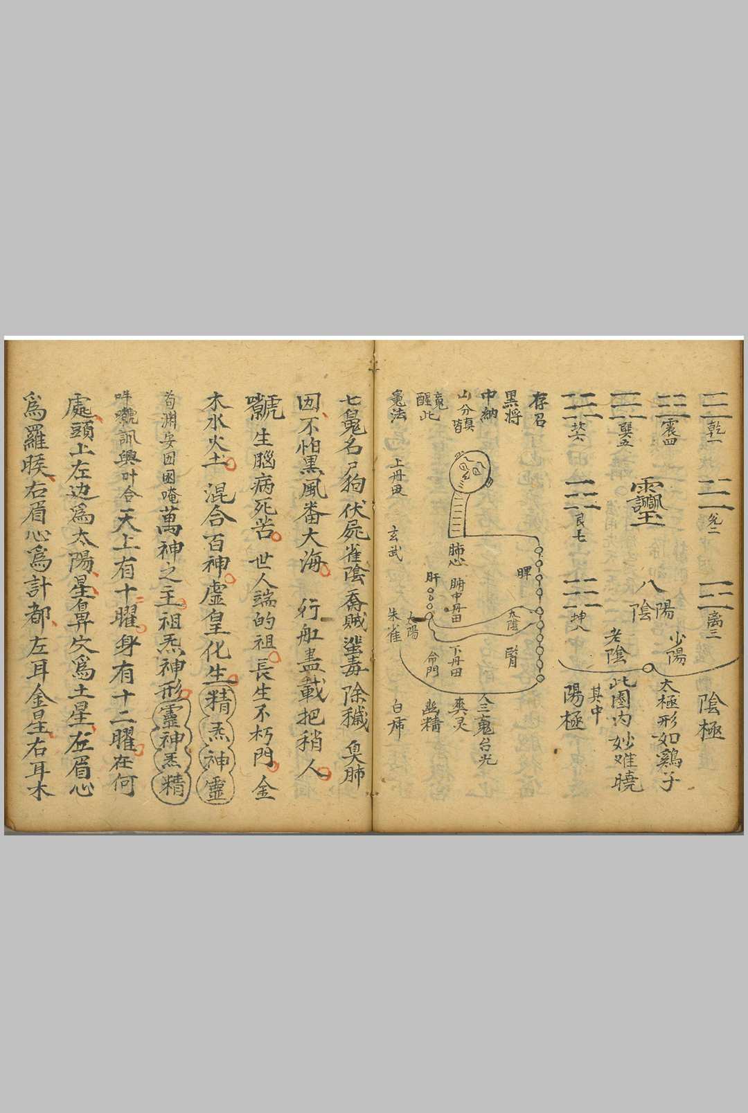 图片[18]中华古籍网-专注古书收集正一朝修玄关秘旨中华古籍网-专注古书收集中华古籍网