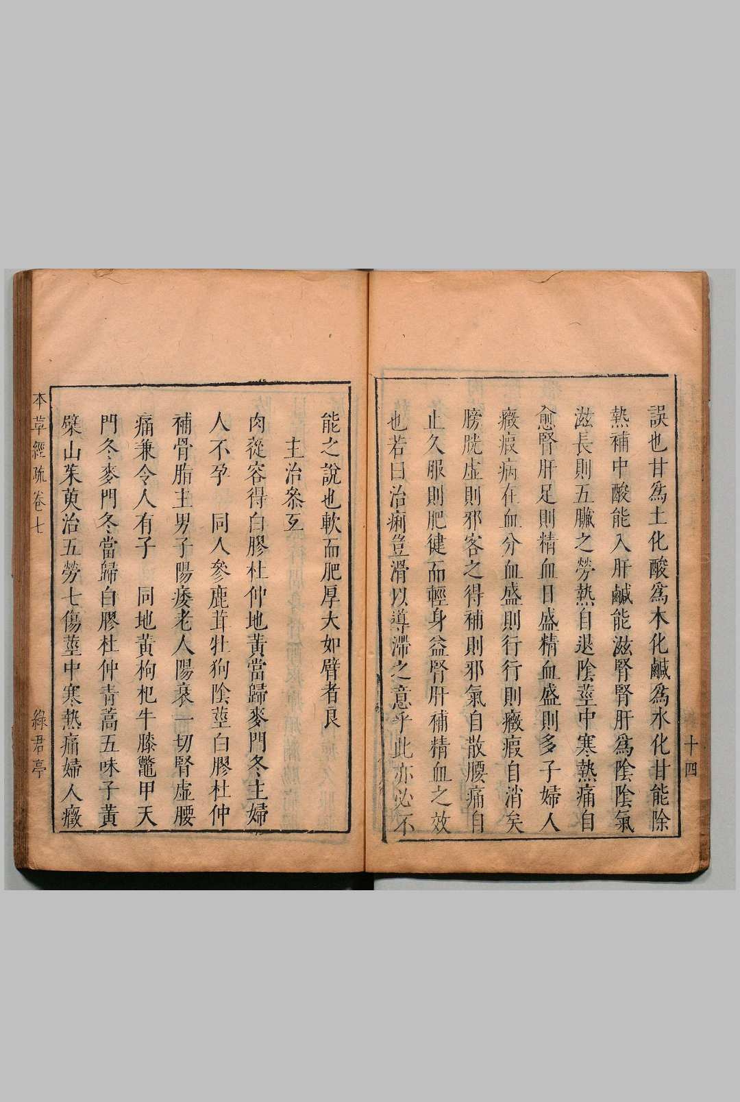 图片[12]中华古籍网-专注古书收集神农本草经疏 30卷 谬希雍,明天启5年 , 绿君亭中华古籍网-专注古书收集中华古籍网