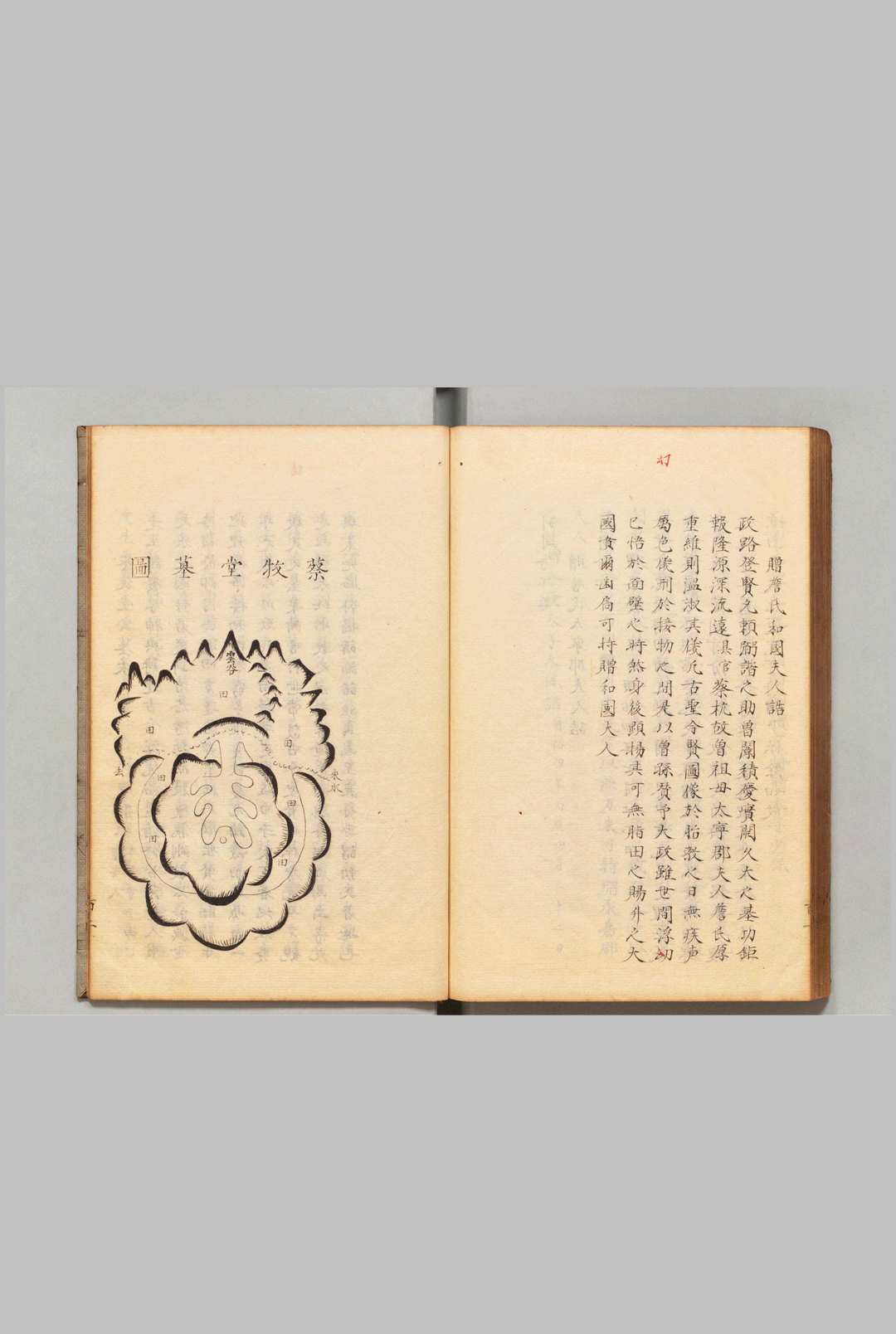 图片[5]中华古籍网-专注古书收集蔡氏全书 ９卷 首１卷 朱世泽（明）写本 ,江户中华古籍网-专注古书收集中华古籍网