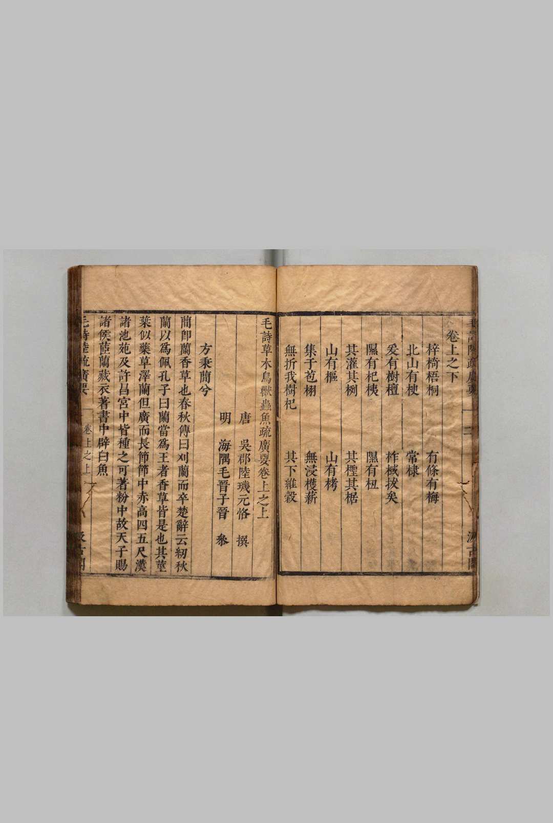 图片[3]中华古籍网-专注古书收集毛诗草木鸟兽虫鱼疏广要 ２卷 毛晋（明）明刊本, 汲古阁中华古籍网-专注古书收集中华古籍网