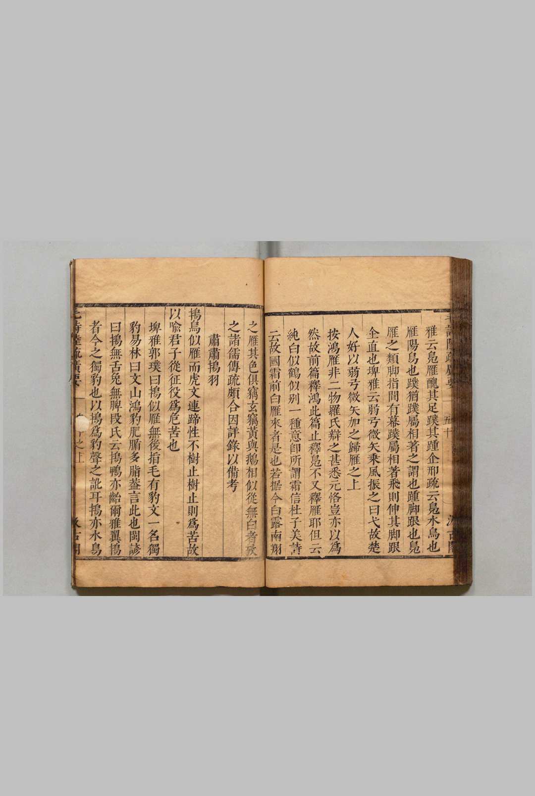 图片[5]中华古籍网-专注古书收集毛诗草木鸟兽虫鱼疏广要 ２卷 毛晋（明）明刊本, 汲古阁中华古籍网-专注古书收集中华古籍网