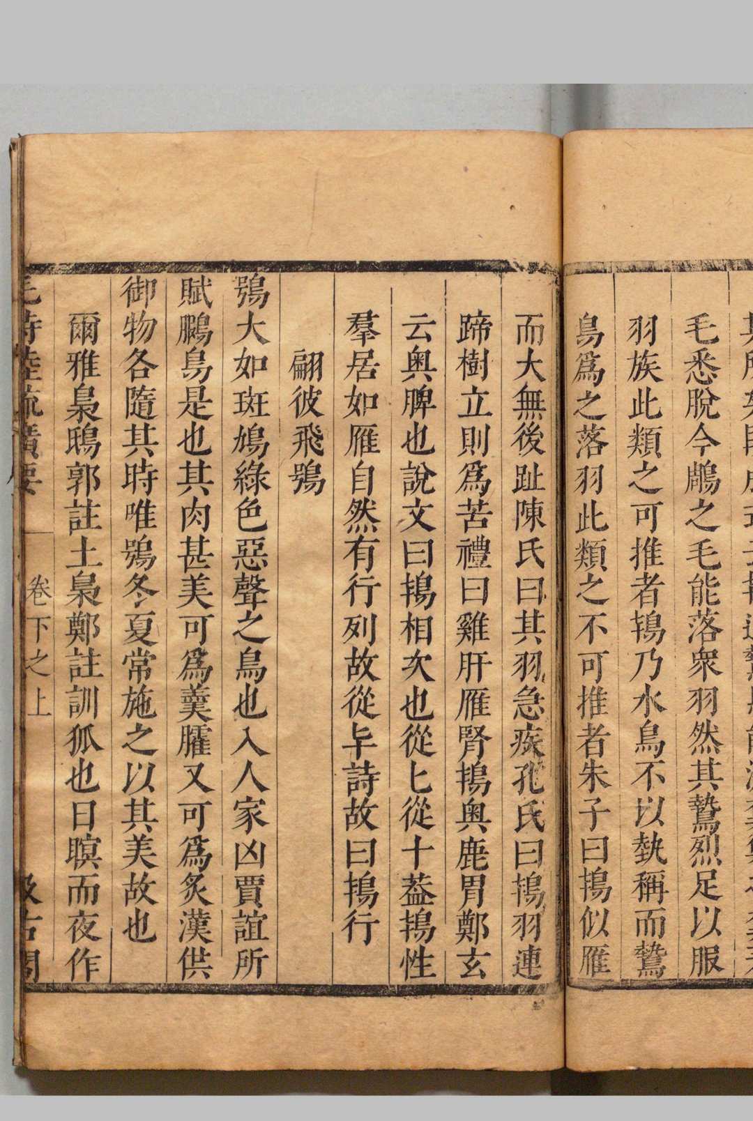 图片[6]中华古籍网-专注古书收集毛诗草木鸟兽虫鱼疏广要 ２卷 毛晋（明）明刊本, 汲古阁中华古籍网-专注古书收集中华古籍网
