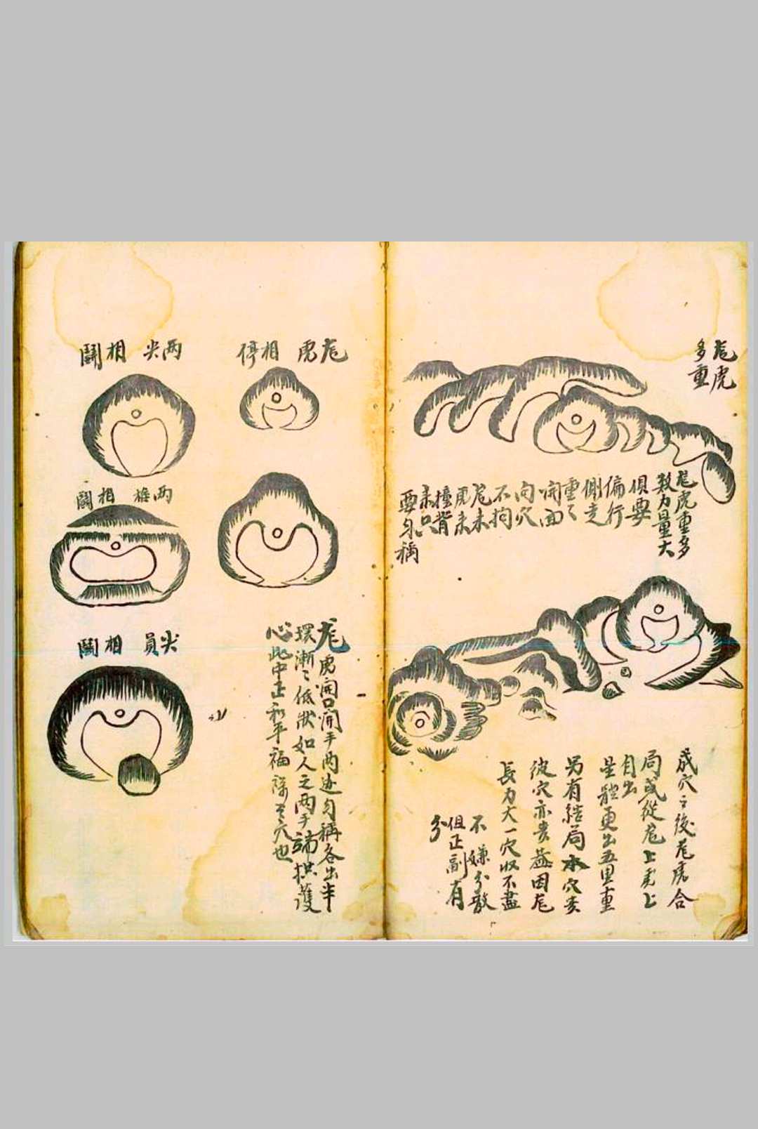 图片[14]-中华古籍网-专注古书收集手抄地理寻龙记-中华古籍网-专注古书收集中华古籍网-专注古书收集