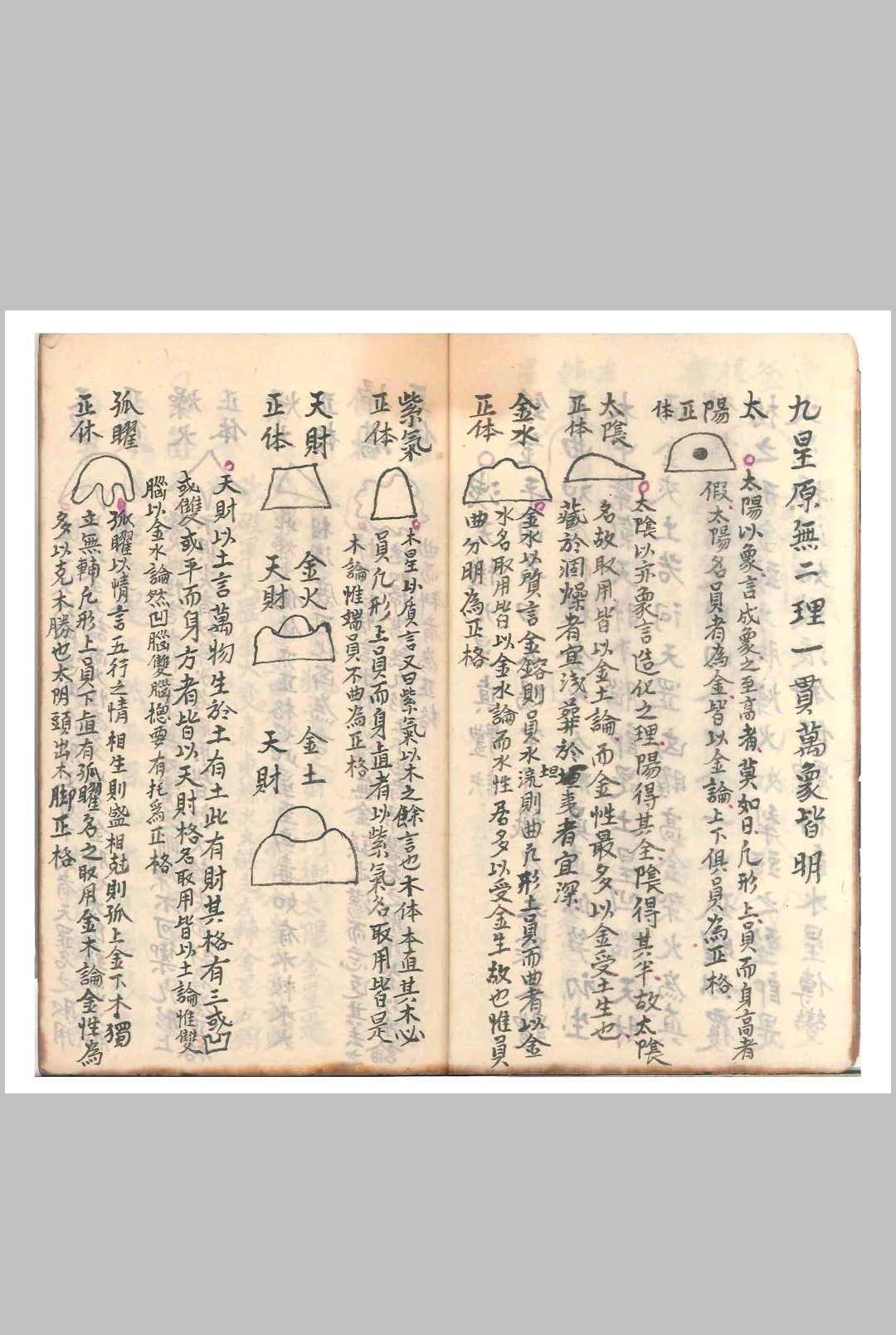 图片[4]-中华古籍网-专注古书收集杨公天星抄本（清光绪二十一年）-中华古籍网-专注古书收集中华古籍网-专注古书收集