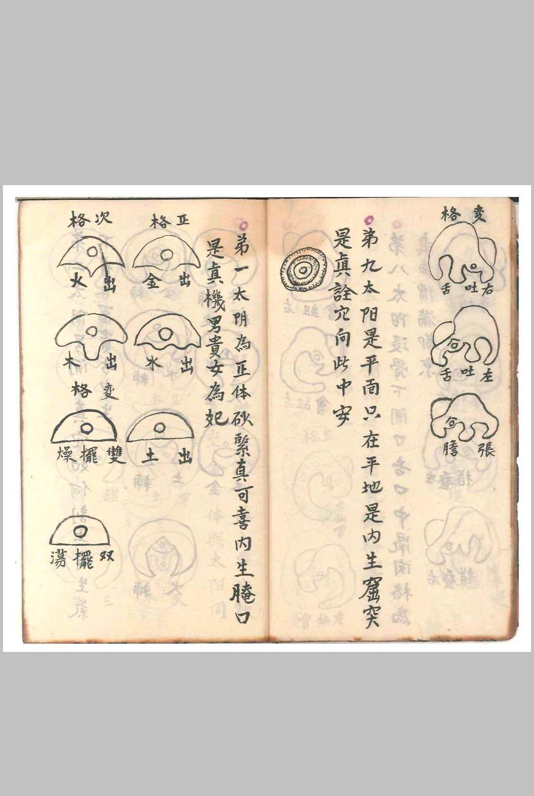 图片[13]-中华古籍网-专注古书收集杨公天星抄本（清光绪二十一年）-中华古籍网-专注古书收集中华古籍网-专注古书收集