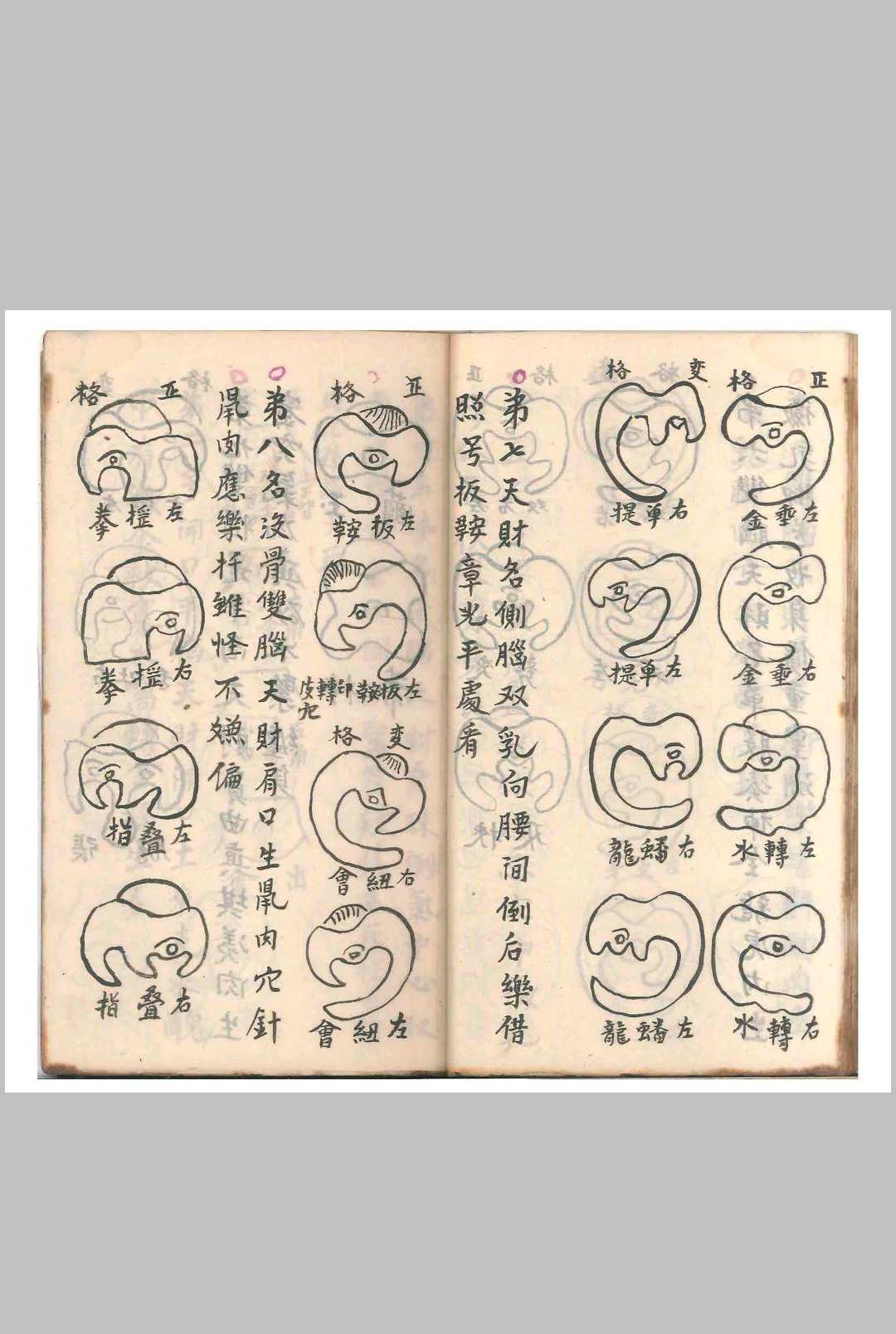 图片[9]-中华古籍网-专注古书收集杨公天星抄本（清光绪二十一年）-中华古籍网-专注古书收集中华古籍网-专注古书收集