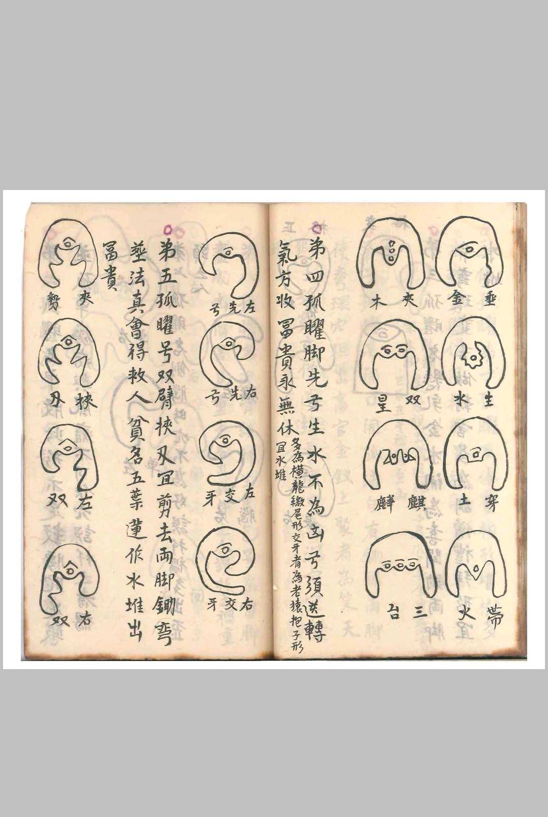 图片[8]-中华古籍网-专注古书收集杨公天星抄本（清光绪二十一年）-中华古籍网-专注古书收集中华古籍网-专注古书收集