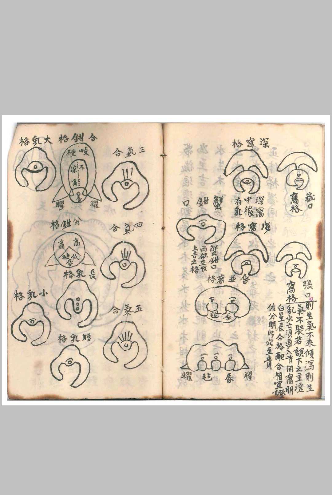 图片[10]-中华古籍网-专注古书收集杨公天星抄本（清光绪二十一年）-中华古籍网-专注古书收集中华古籍网-专注古书收集