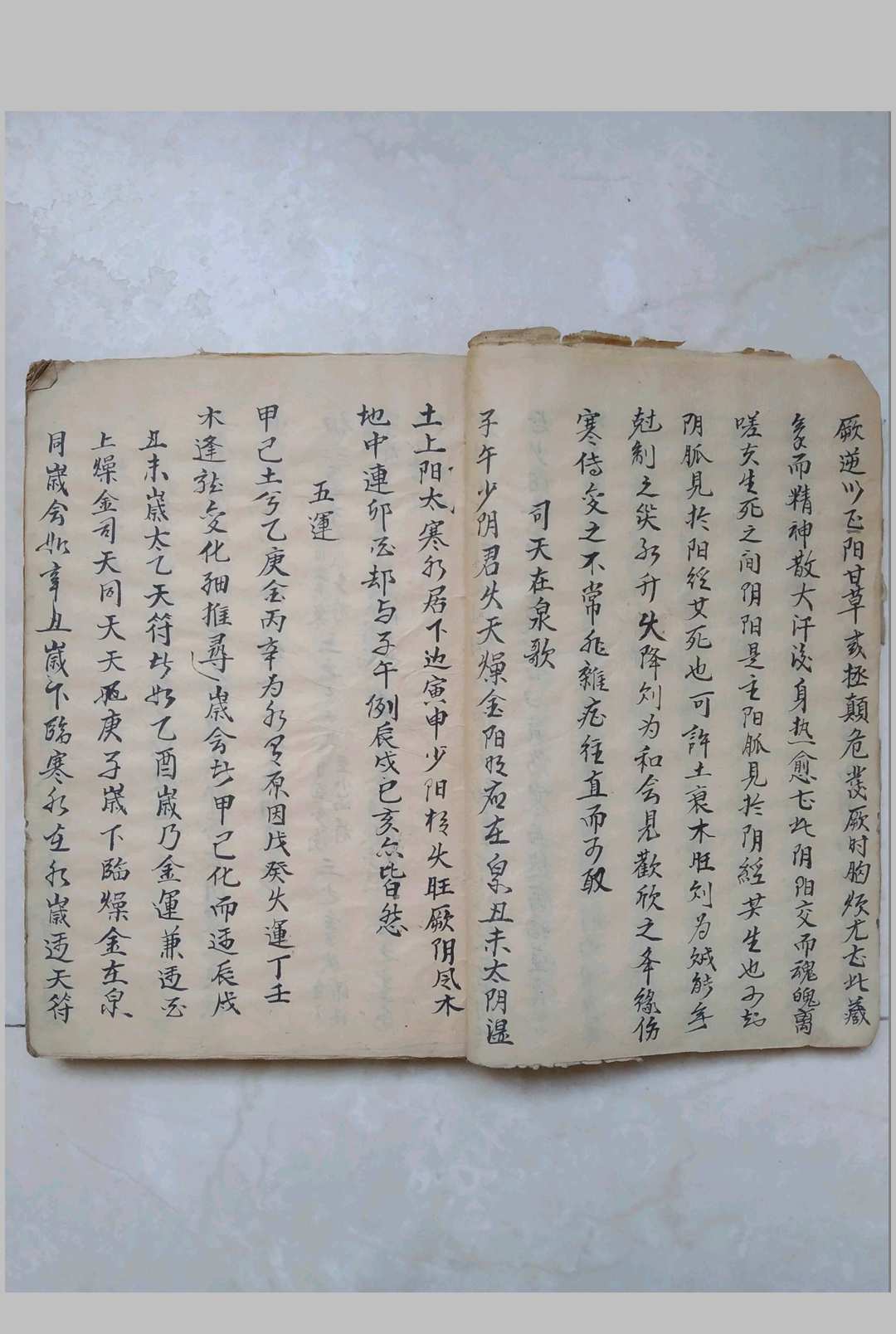 图片[5]-中华古籍网-专注古书收集伤寒指掌全书-中华古籍网-专注古书收集中华古籍网-专注古书收集