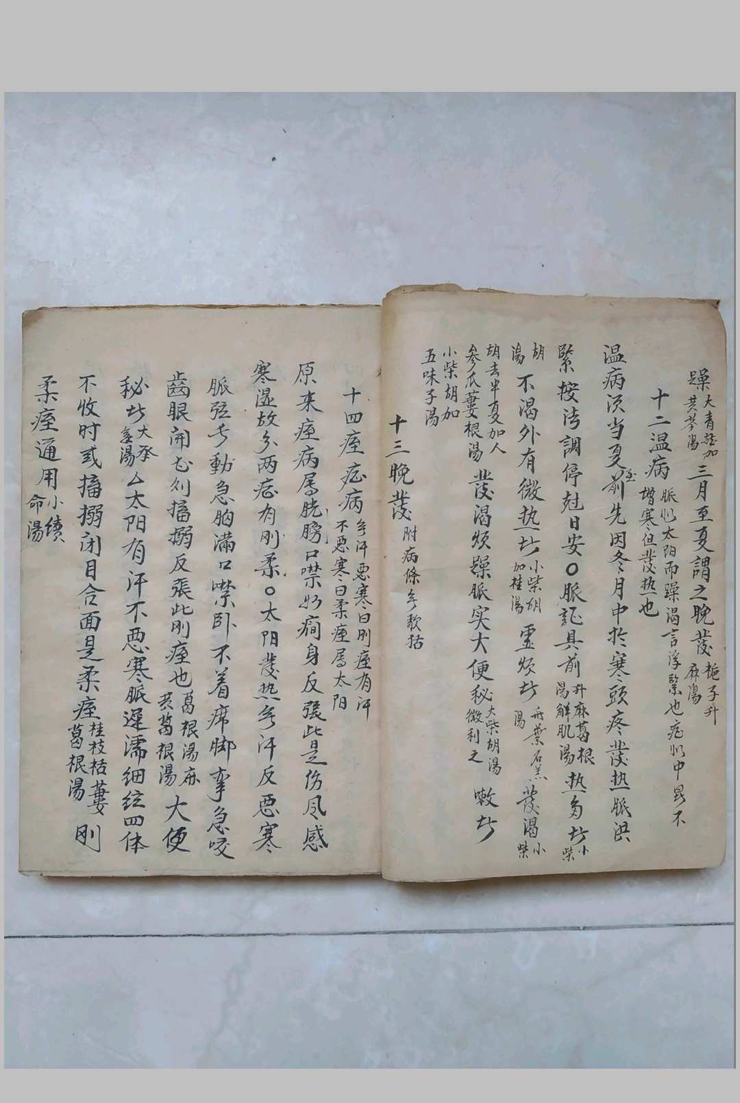 图片[13]-中华古籍网-专注古书收集伤寒指掌全书-中华古籍网-专注古书收集中华古籍网-专注古书收集