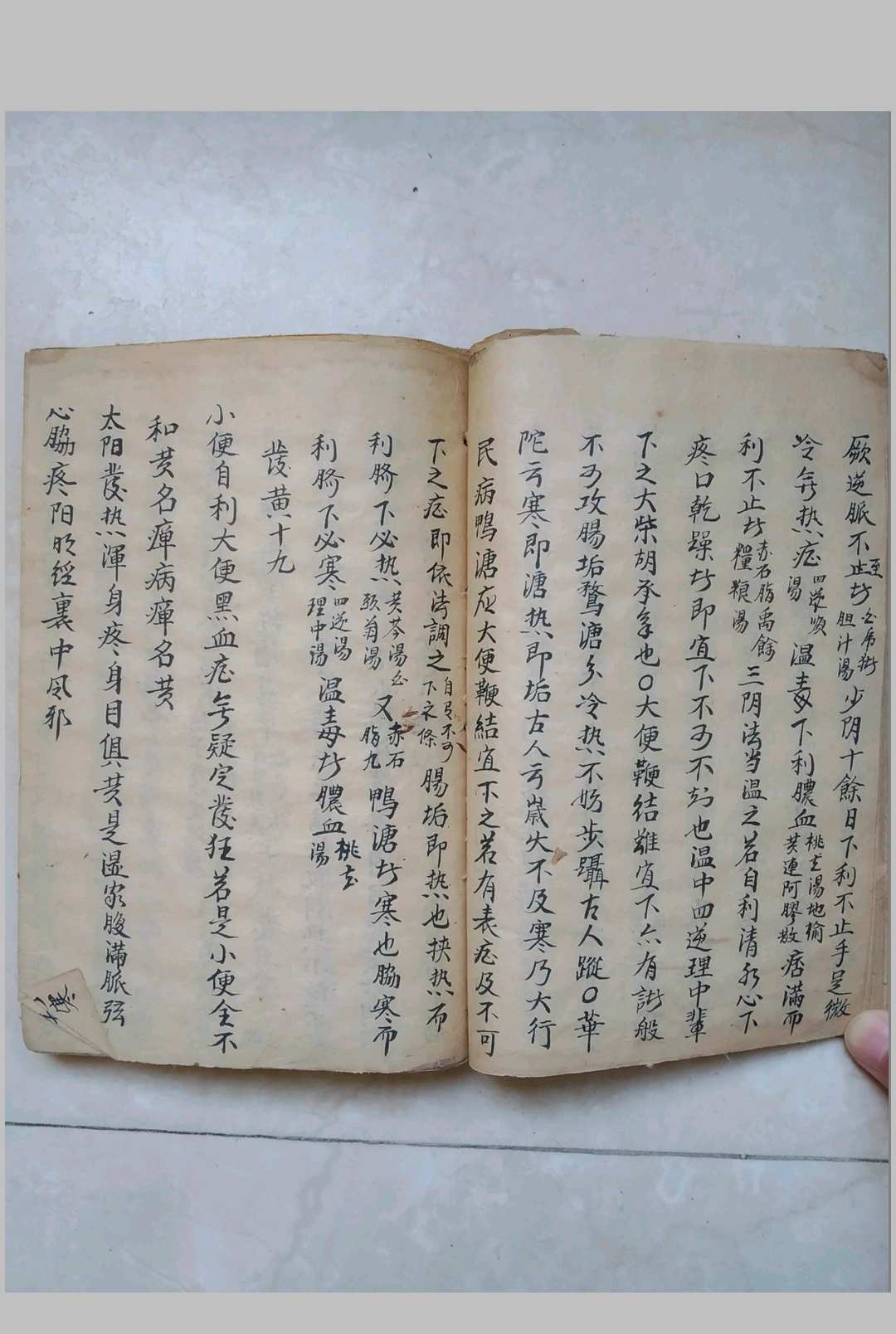 图片[10]-中华古籍网-专注古书收集伤寒指掌全书-中华古籍网-专注古书收集中华古籍网-专注古书收集